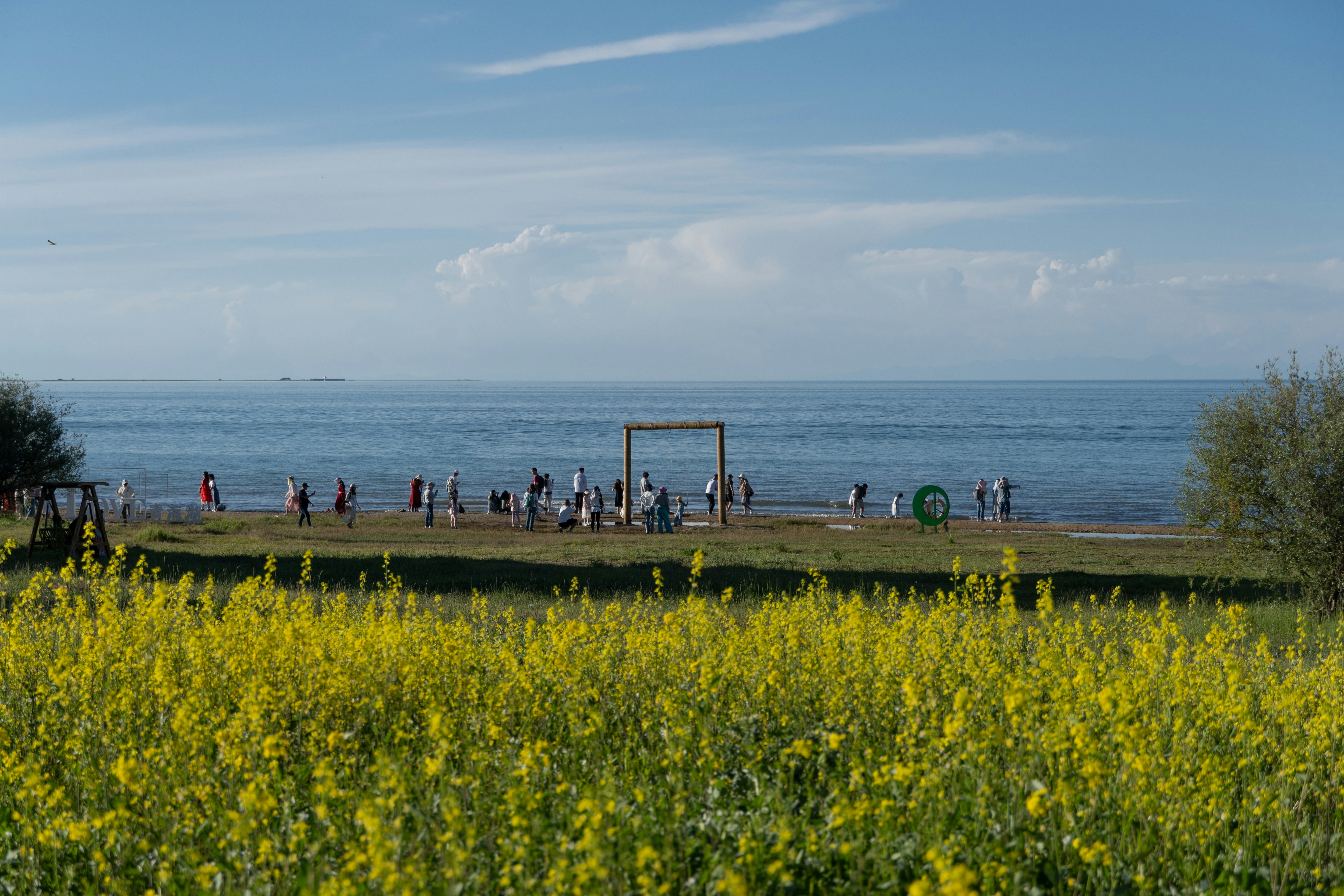 A group of people standing on top of a lush green field