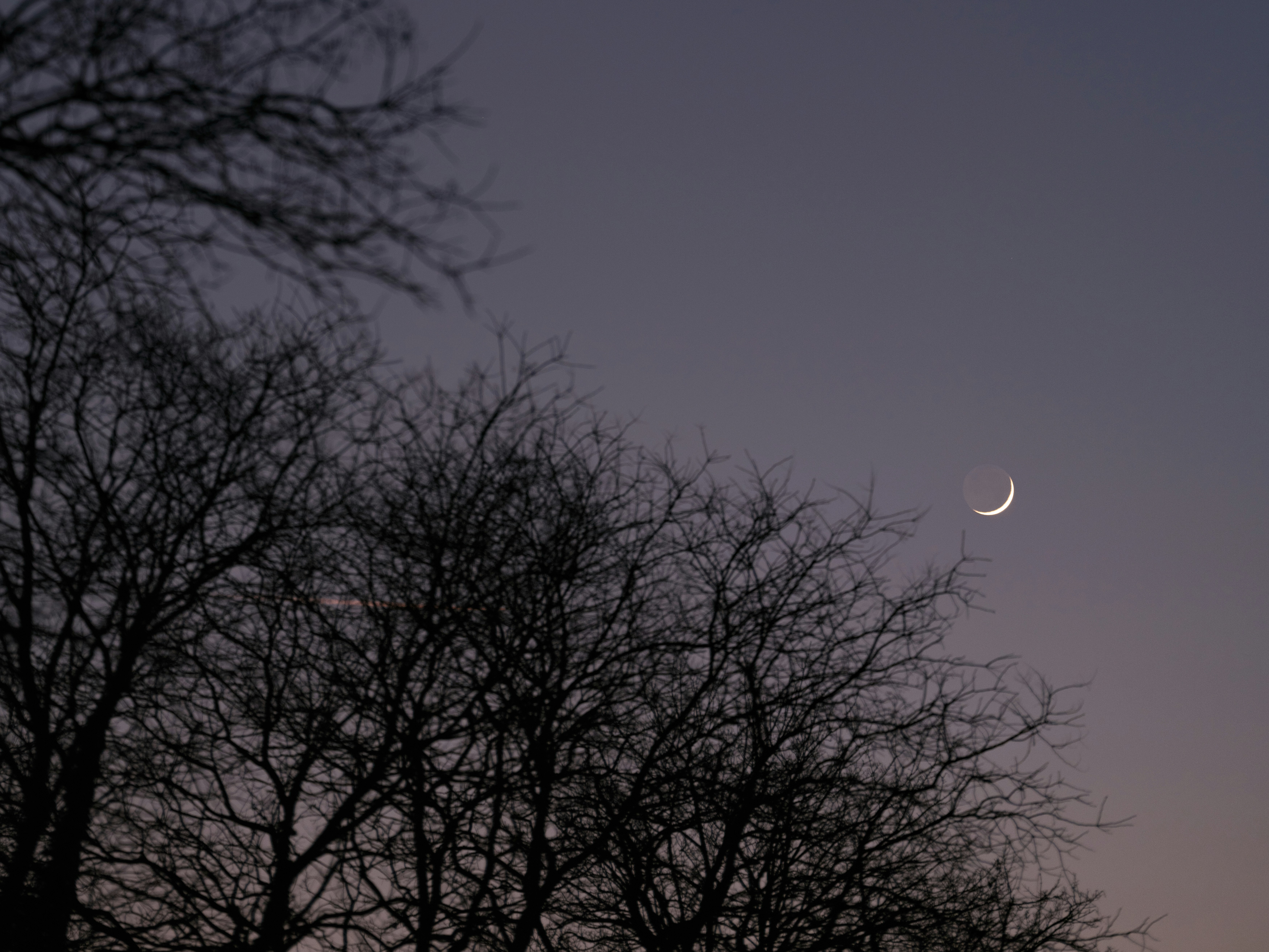 Photo by haberdoedas