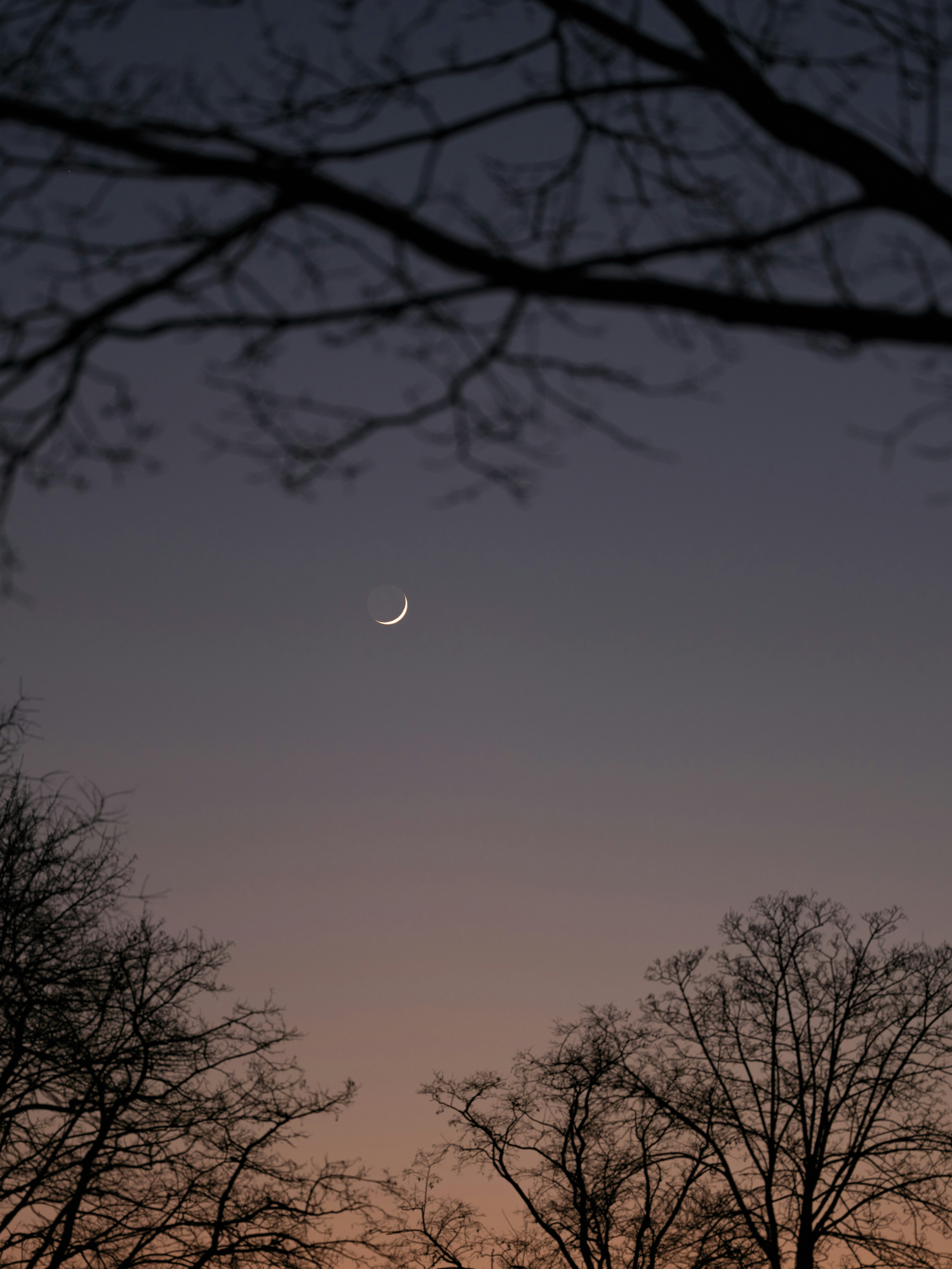 Photo by haberdoedas