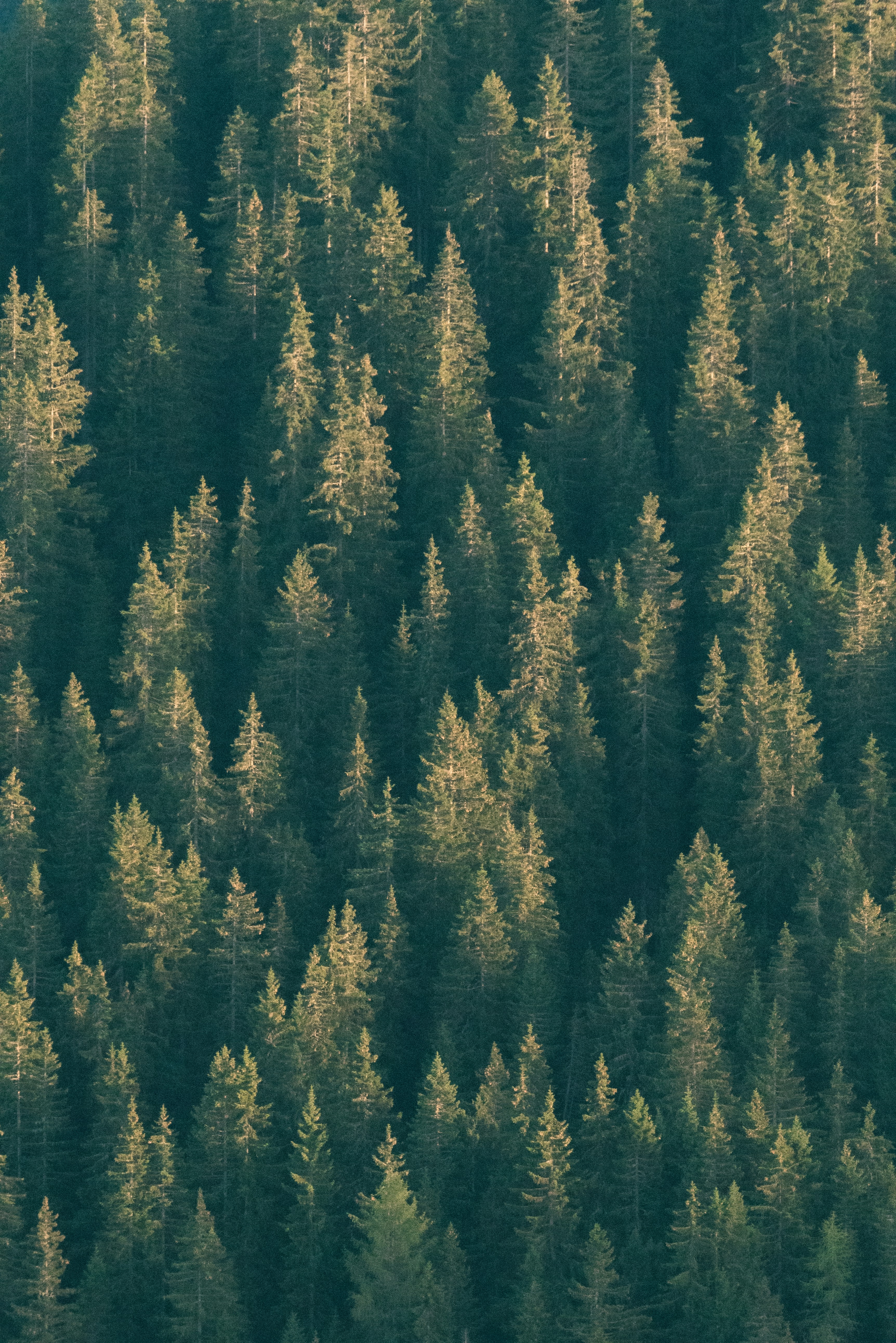 Photo by ahmetyuksek