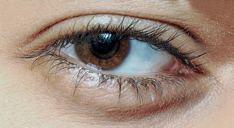 A close up of a woman's brown eye
