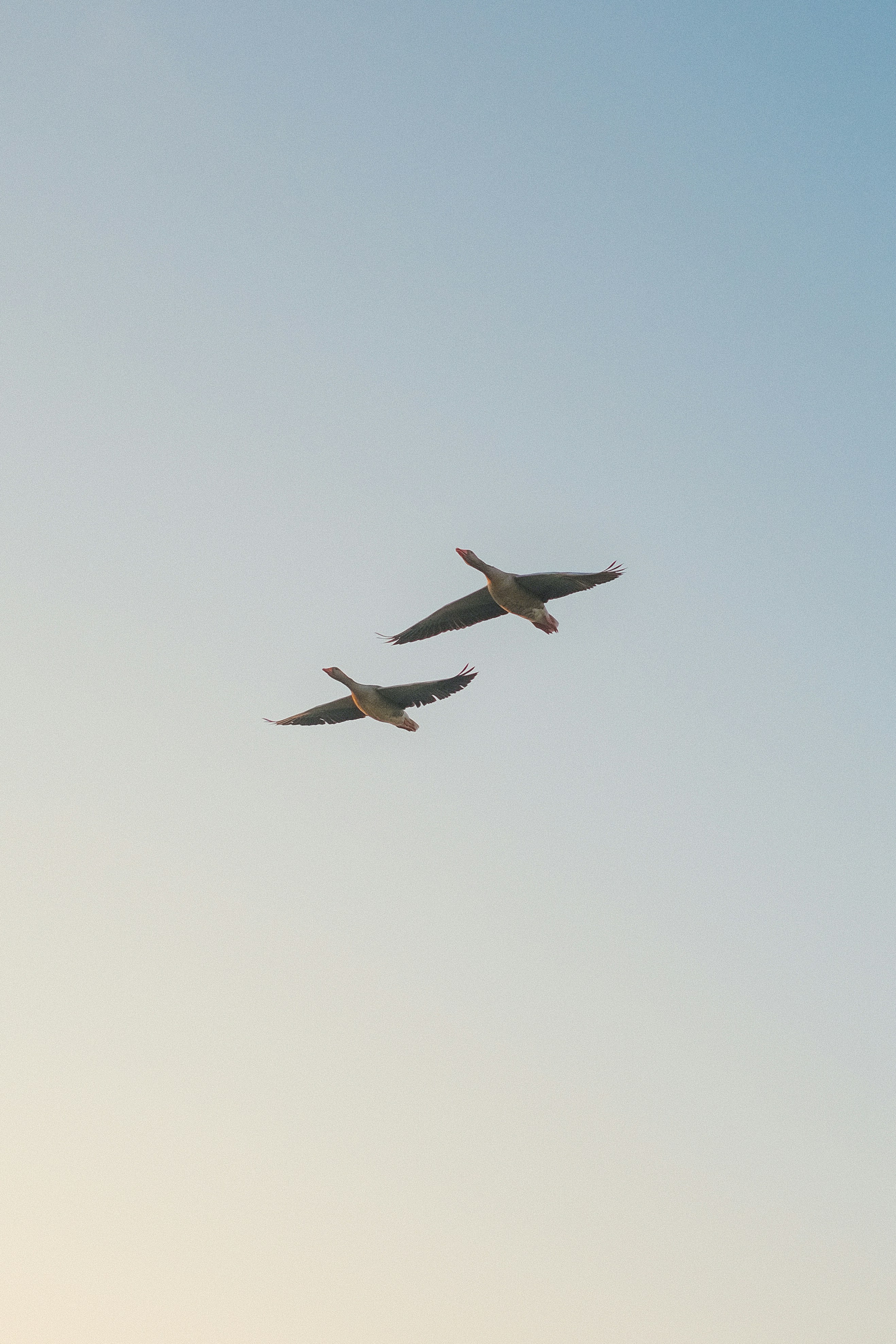 A couple of planes flying through a blue sky