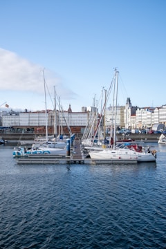 A harbor filled with lots of boats on top of a body of water