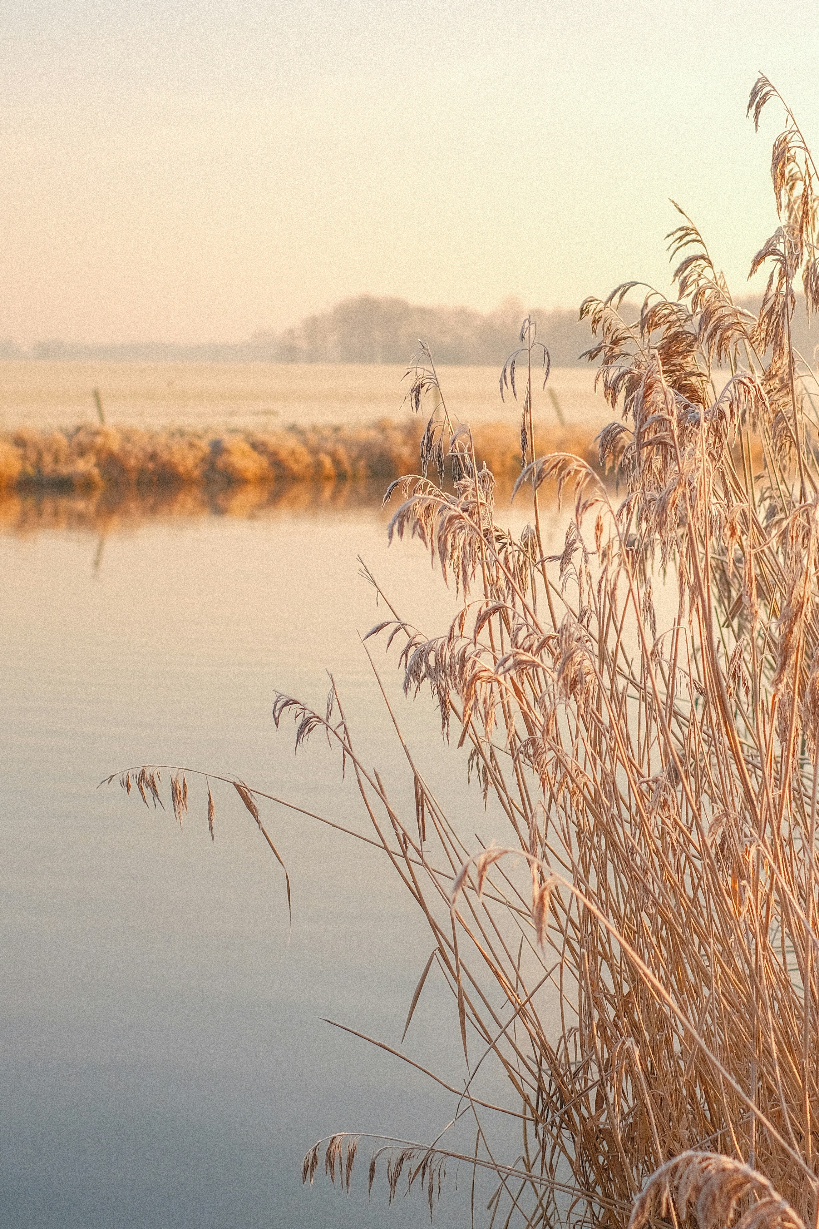 Photo by visualsbying