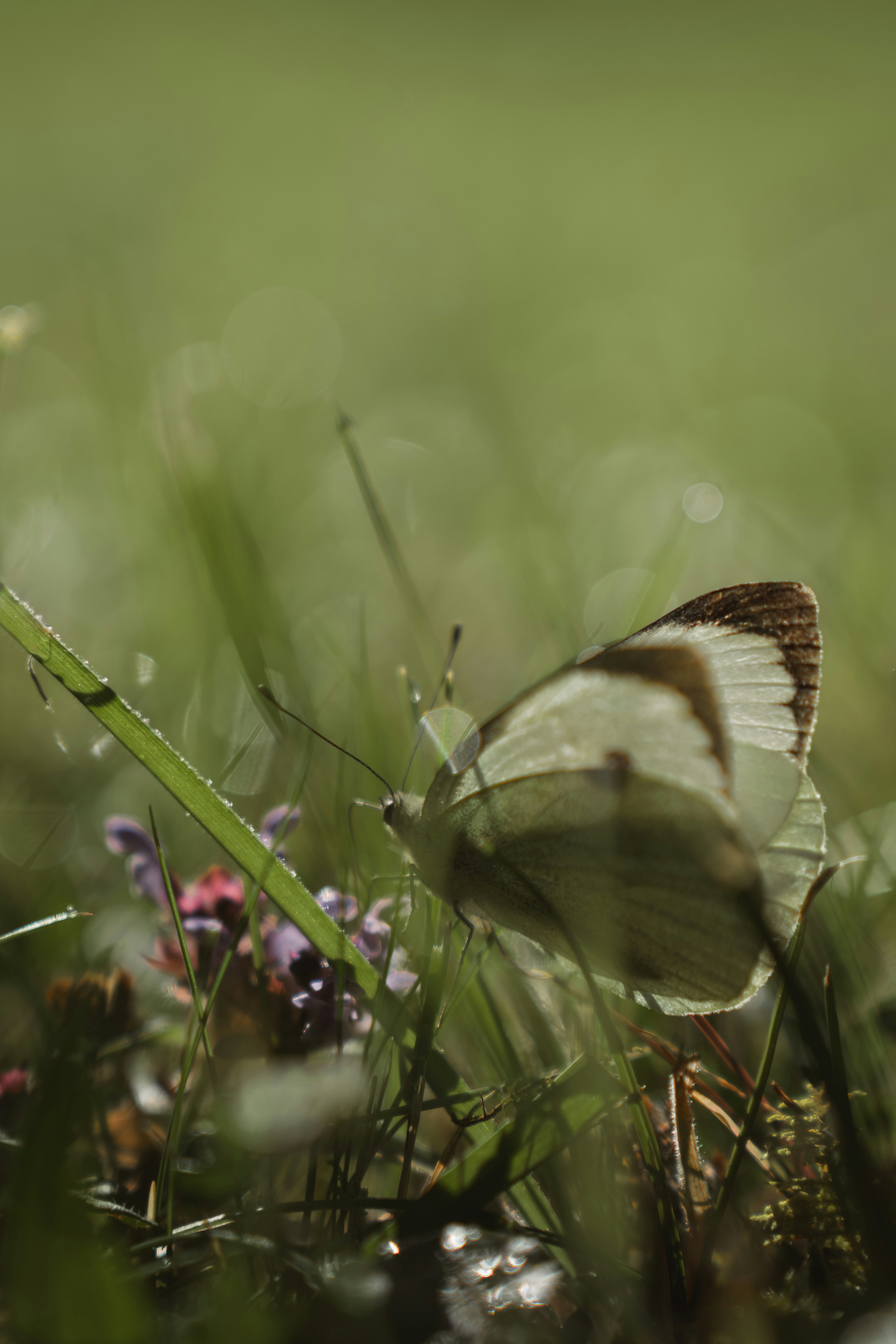 Photo by ahmetyuksek