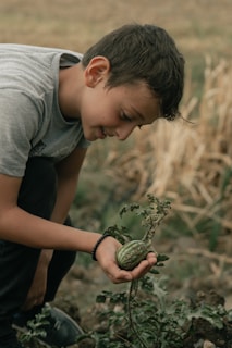 A young boy holding a plant in a field