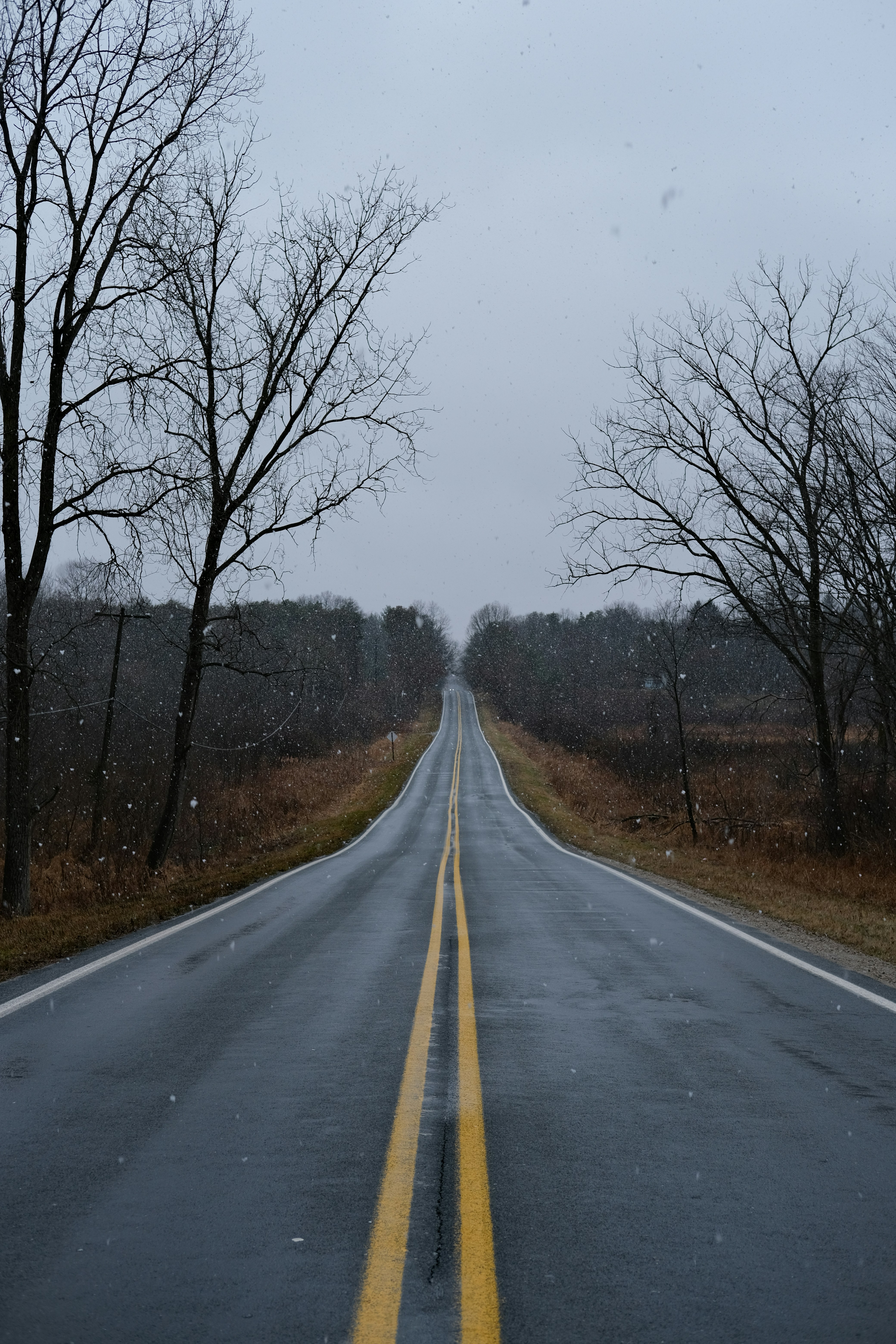 Photo by vince_rankin