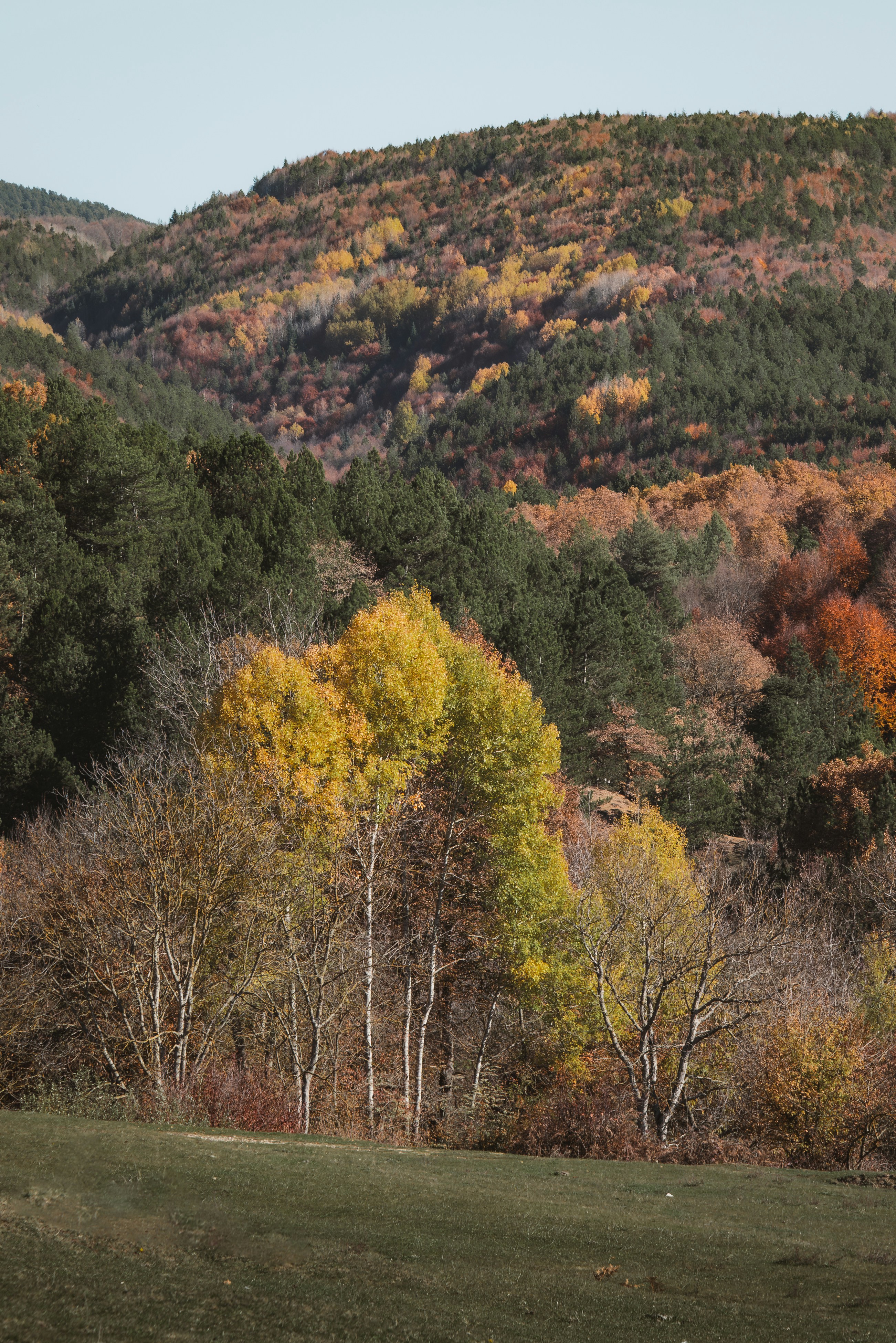 Photo by ahmetyuksek