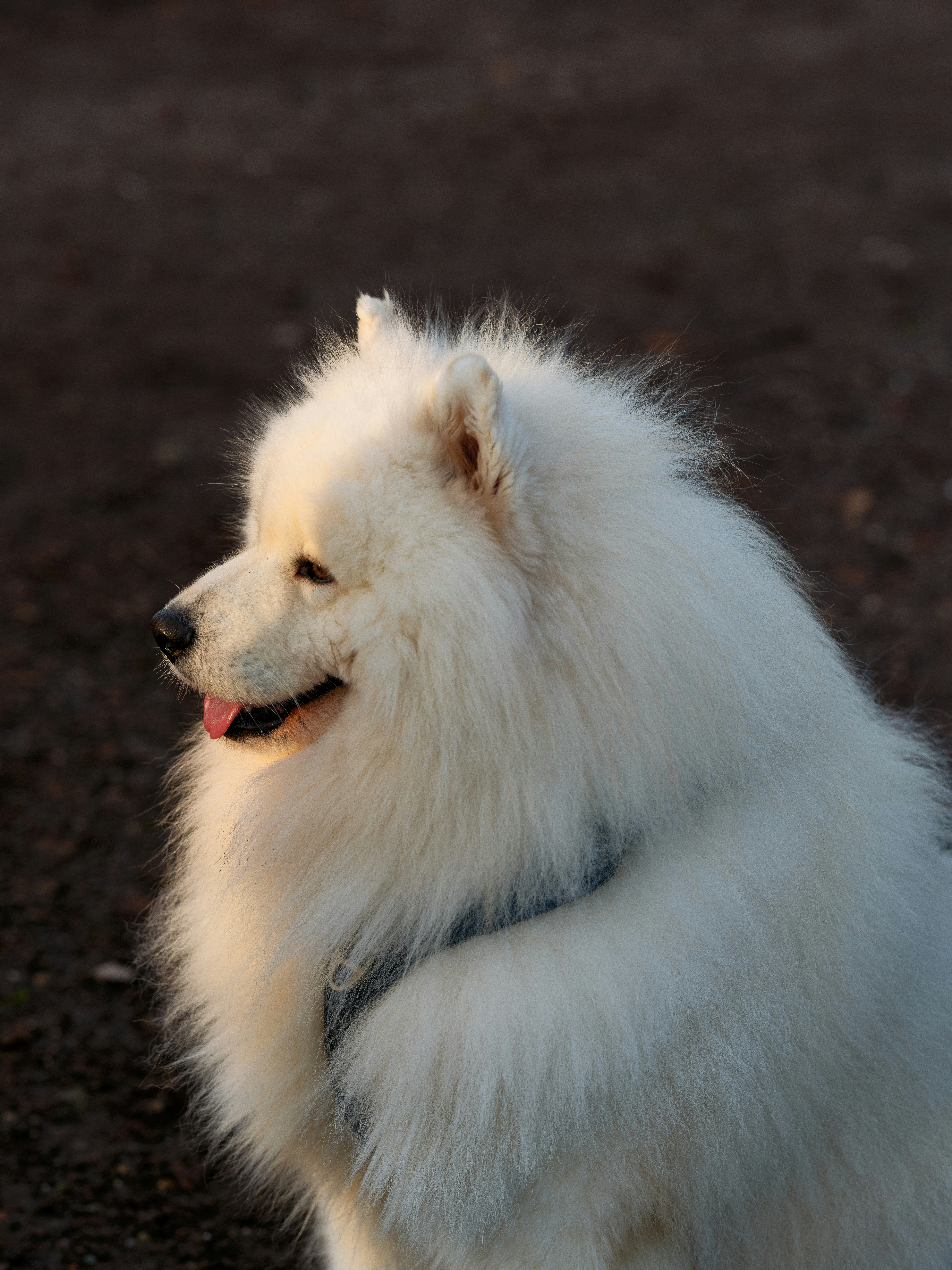 Photo by haberdoedas