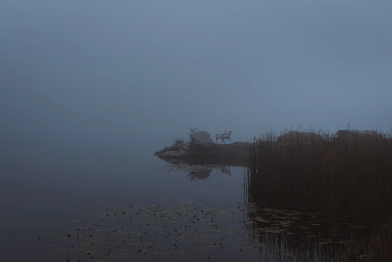Stalking Carp - Edge Fishing