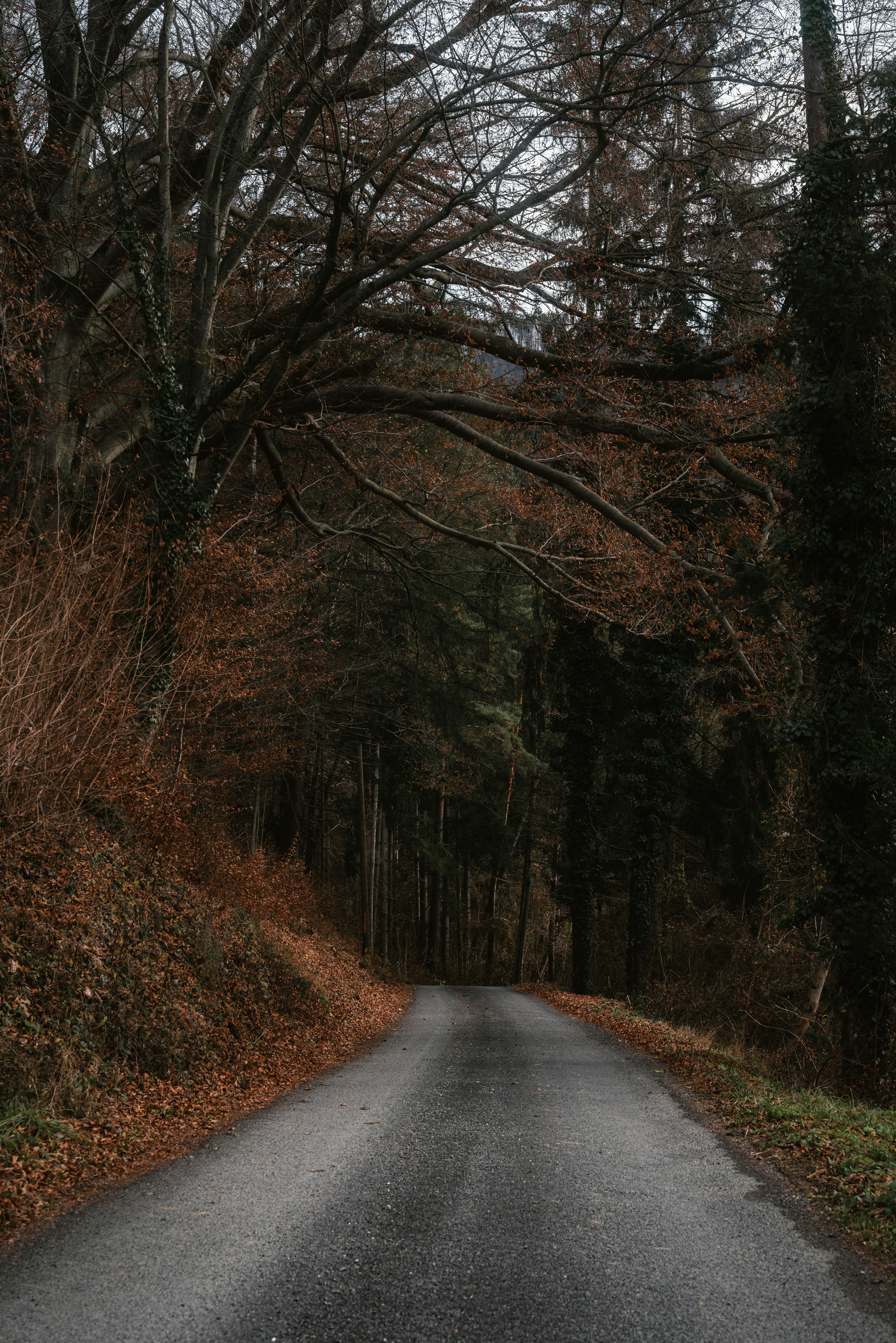 Photo by ahmetyuksek