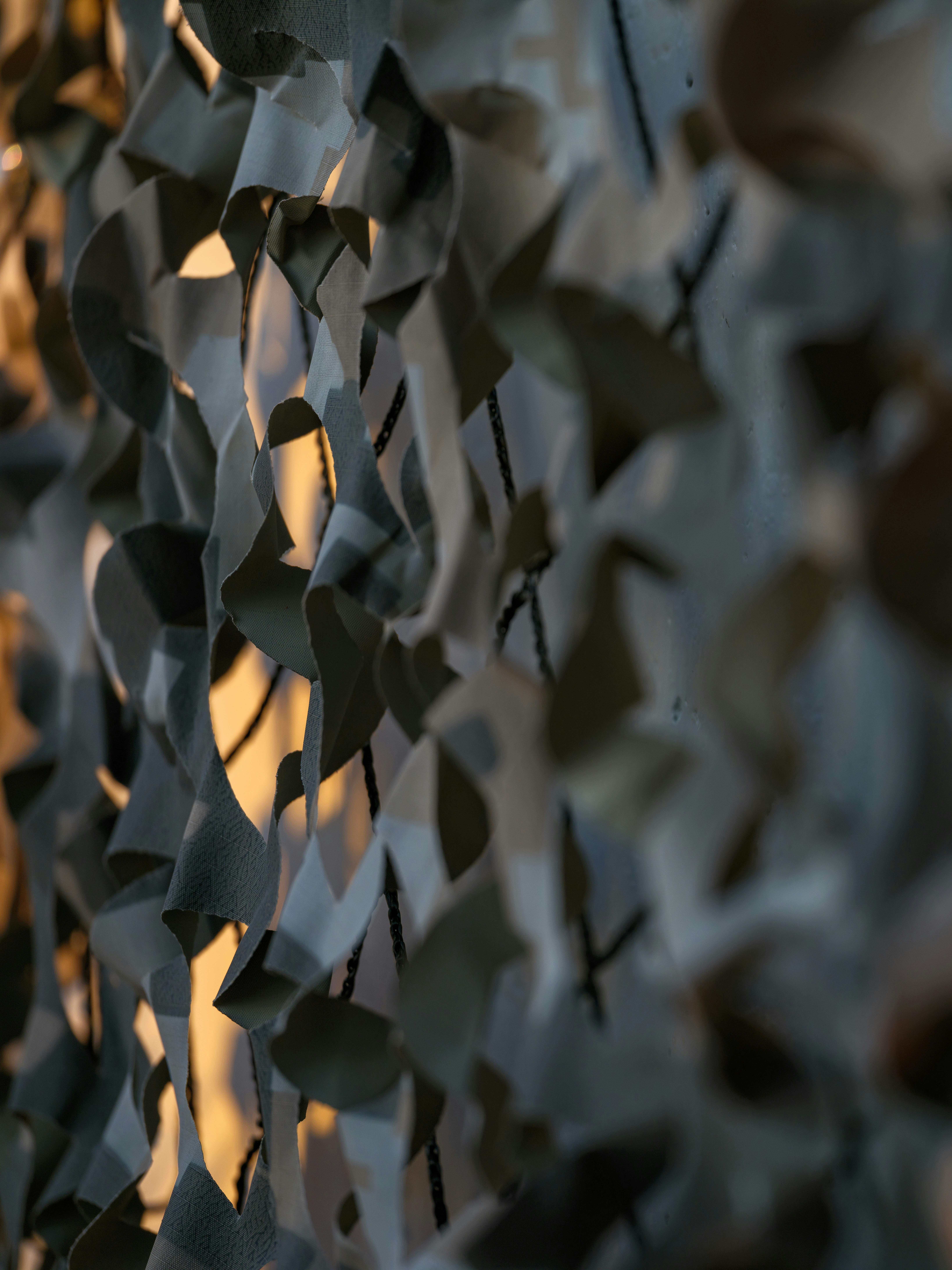 Photo by haberdoedas