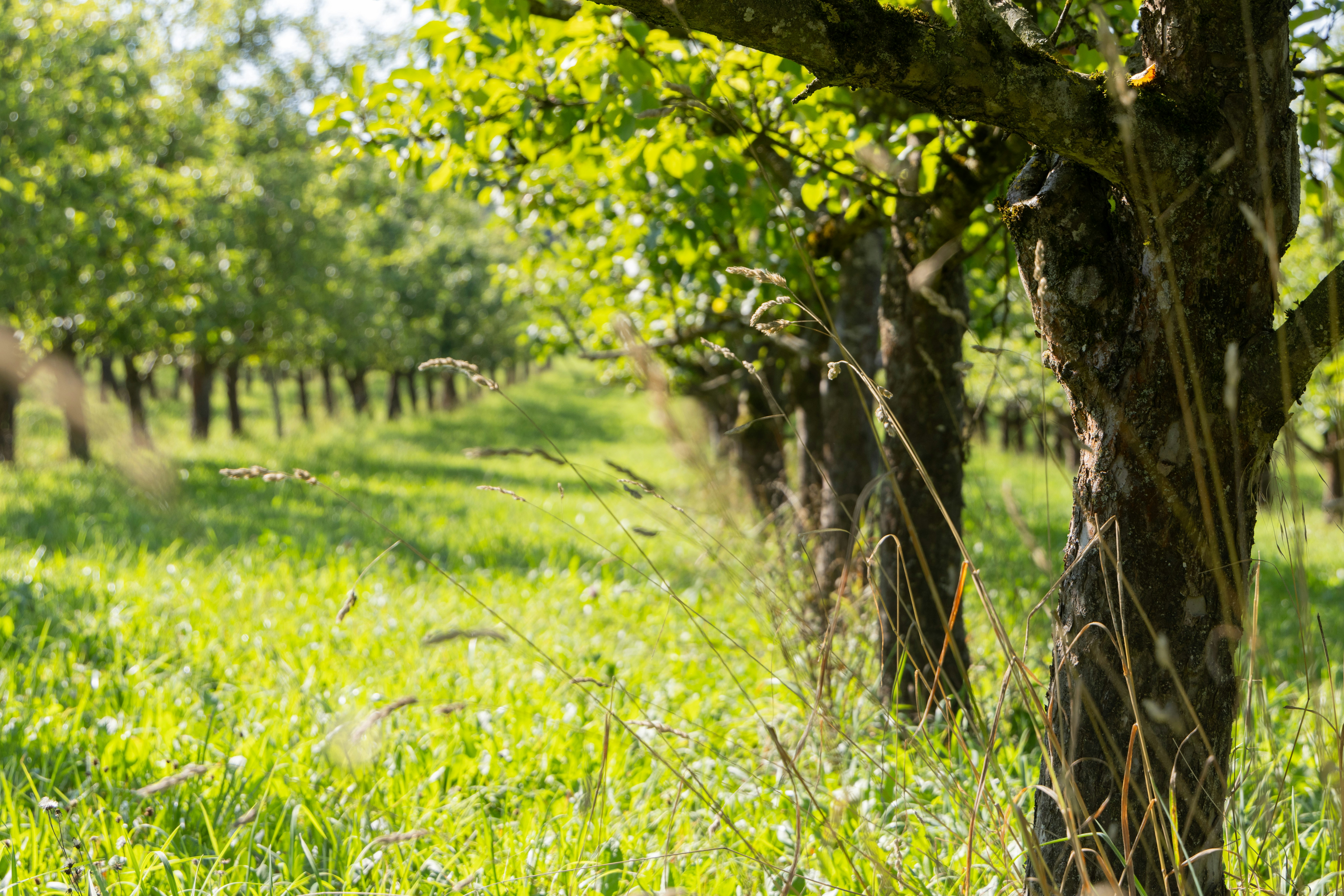 Photo by beingorganicineu