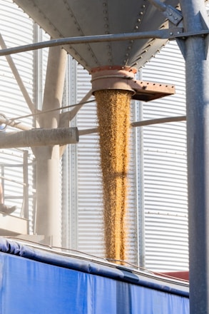 A grain dispenser in front of a building
