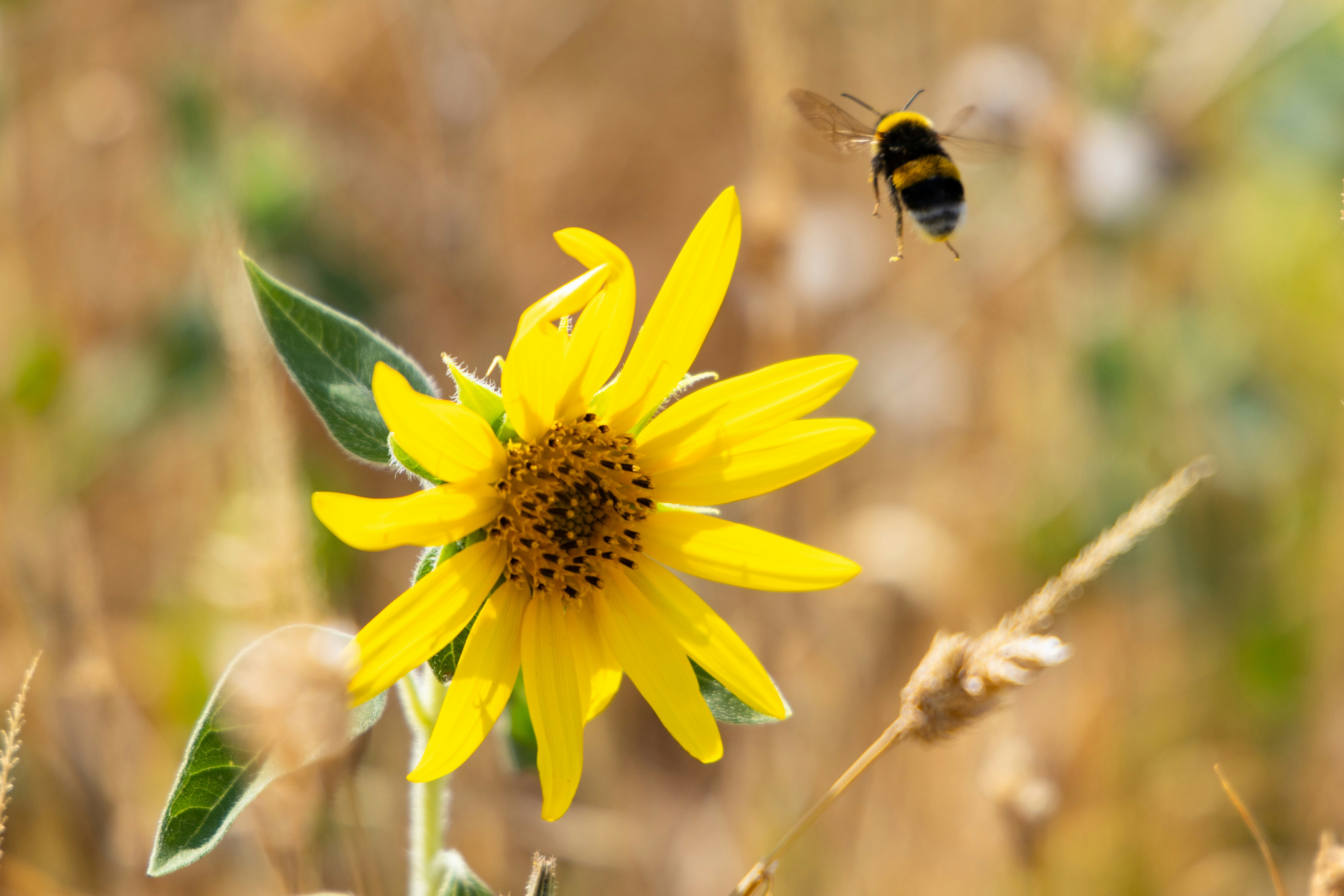 Photo by beingorganicineu