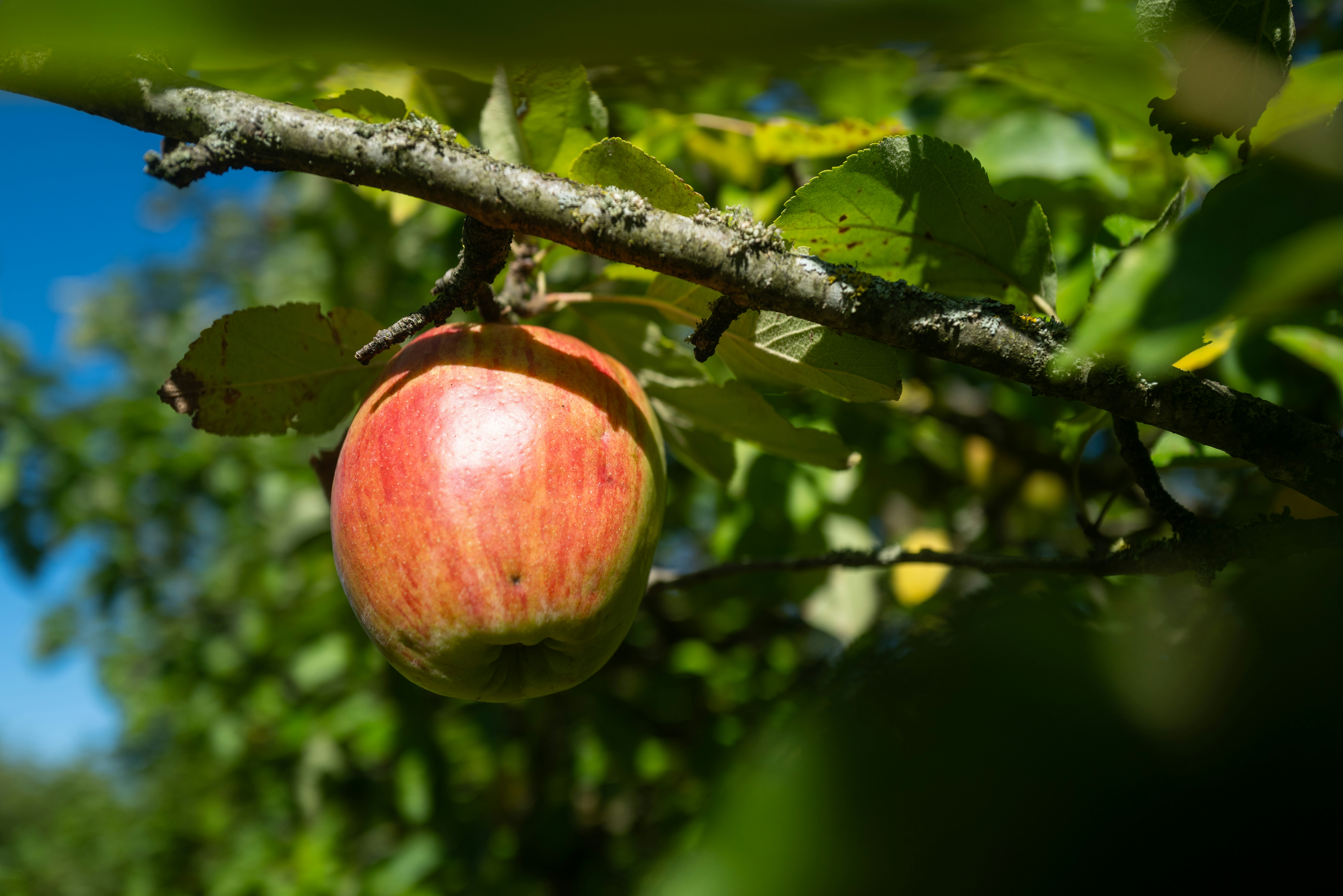 Photo by beingorganicineu