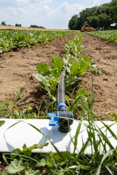A pipe laying in the middle of a field