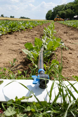 A pipe laying in the middle of a field