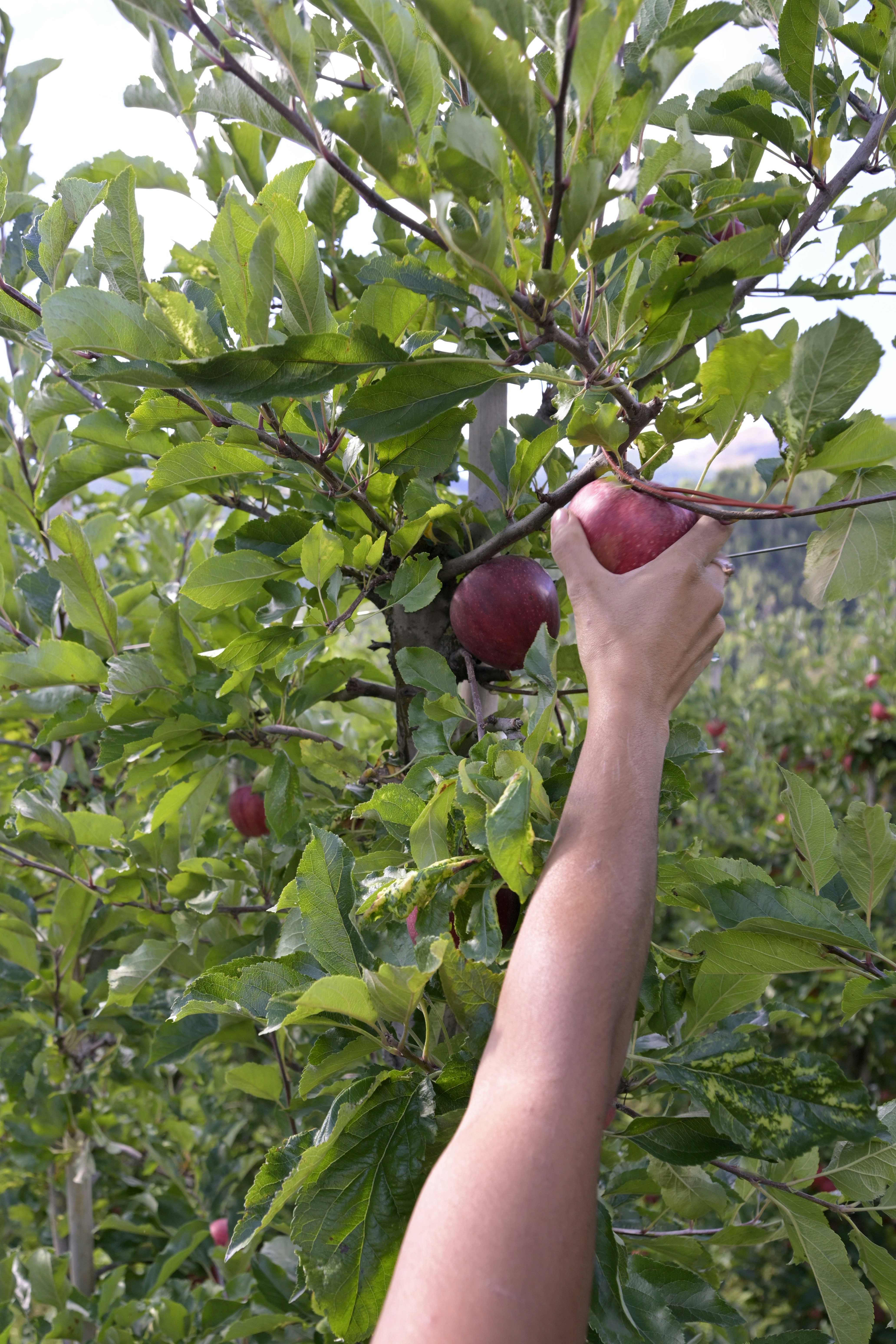 Photo by beingorganicineu