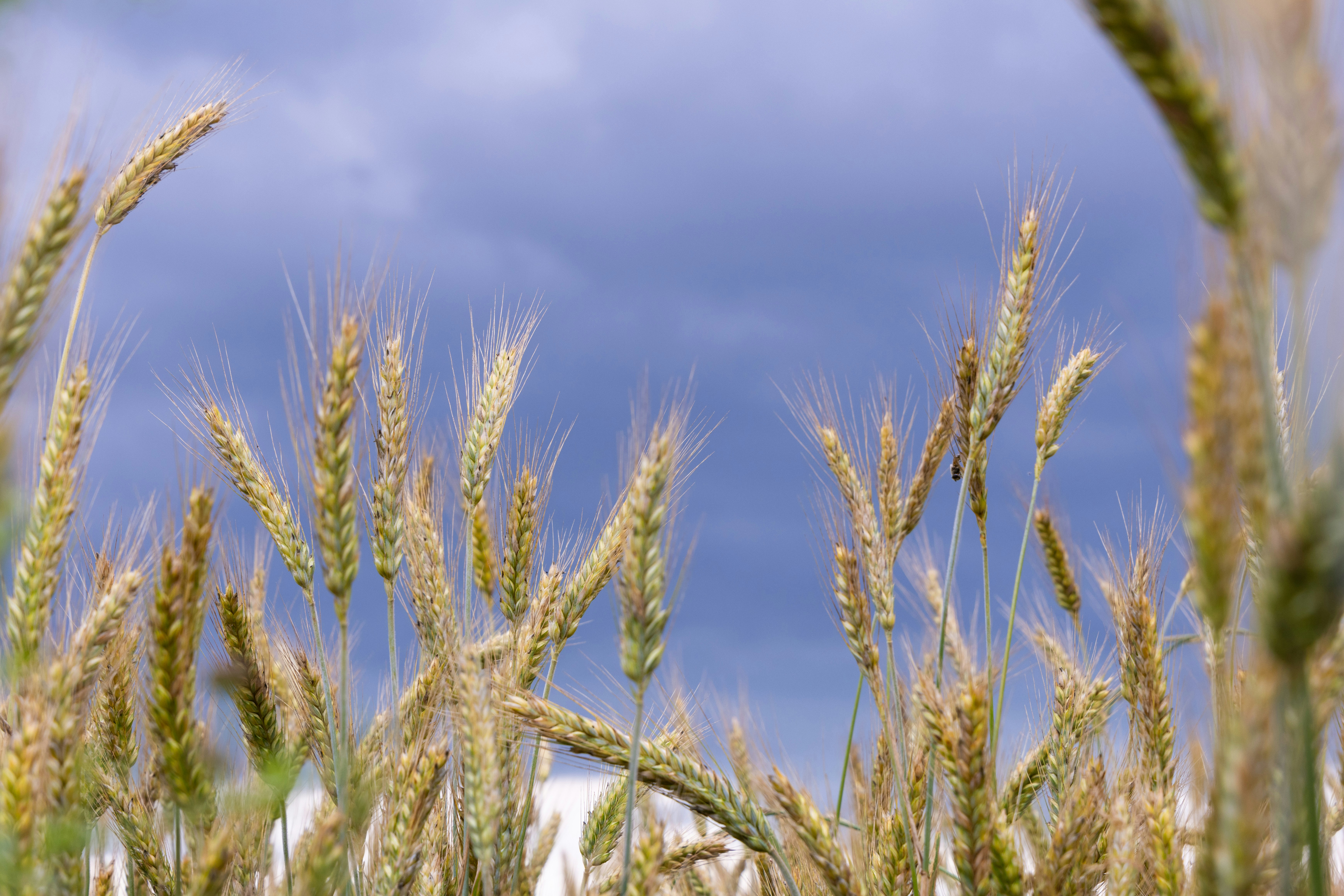 Photo by beingorganicineu