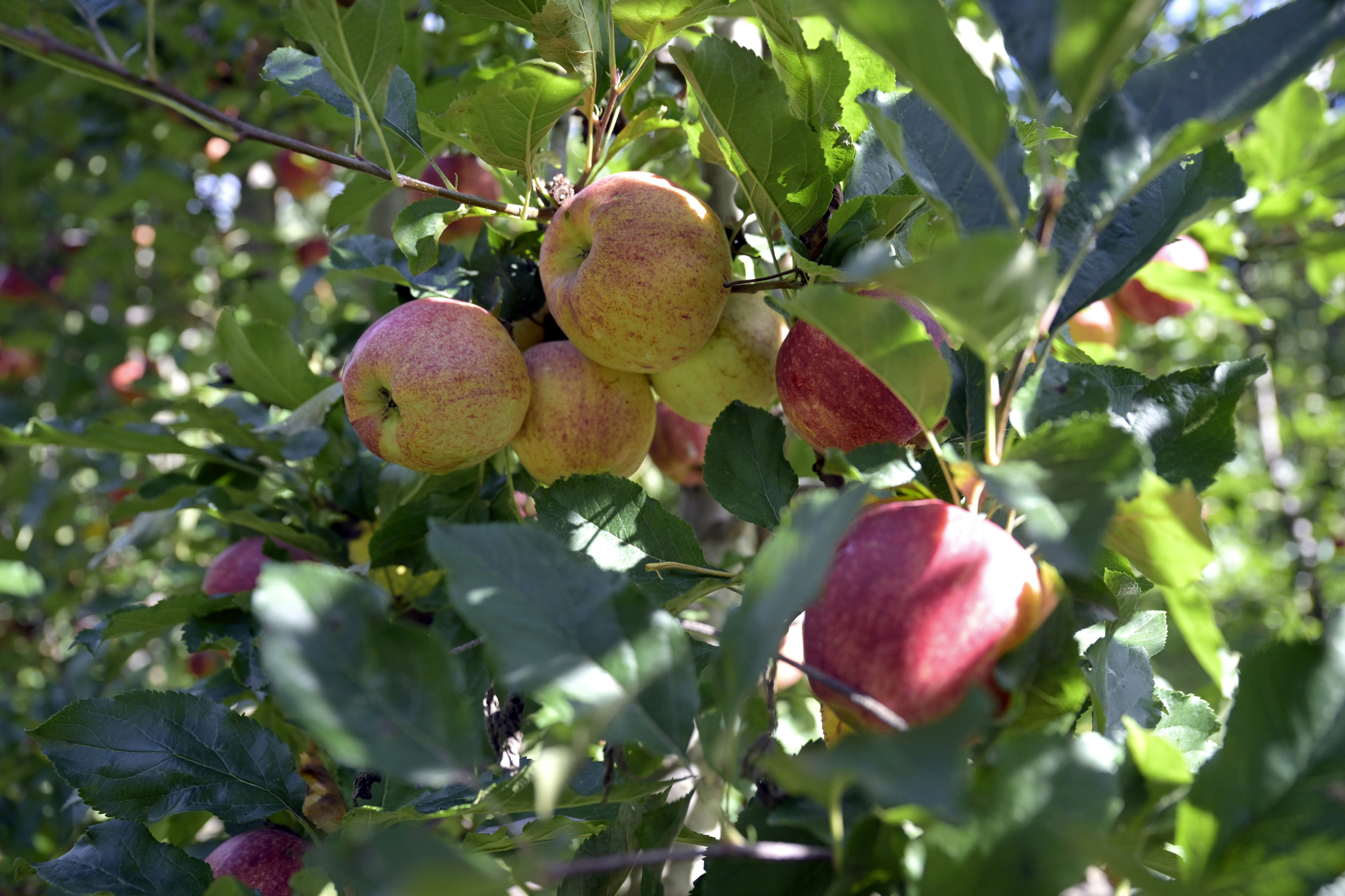 Photo by beingorganicineu