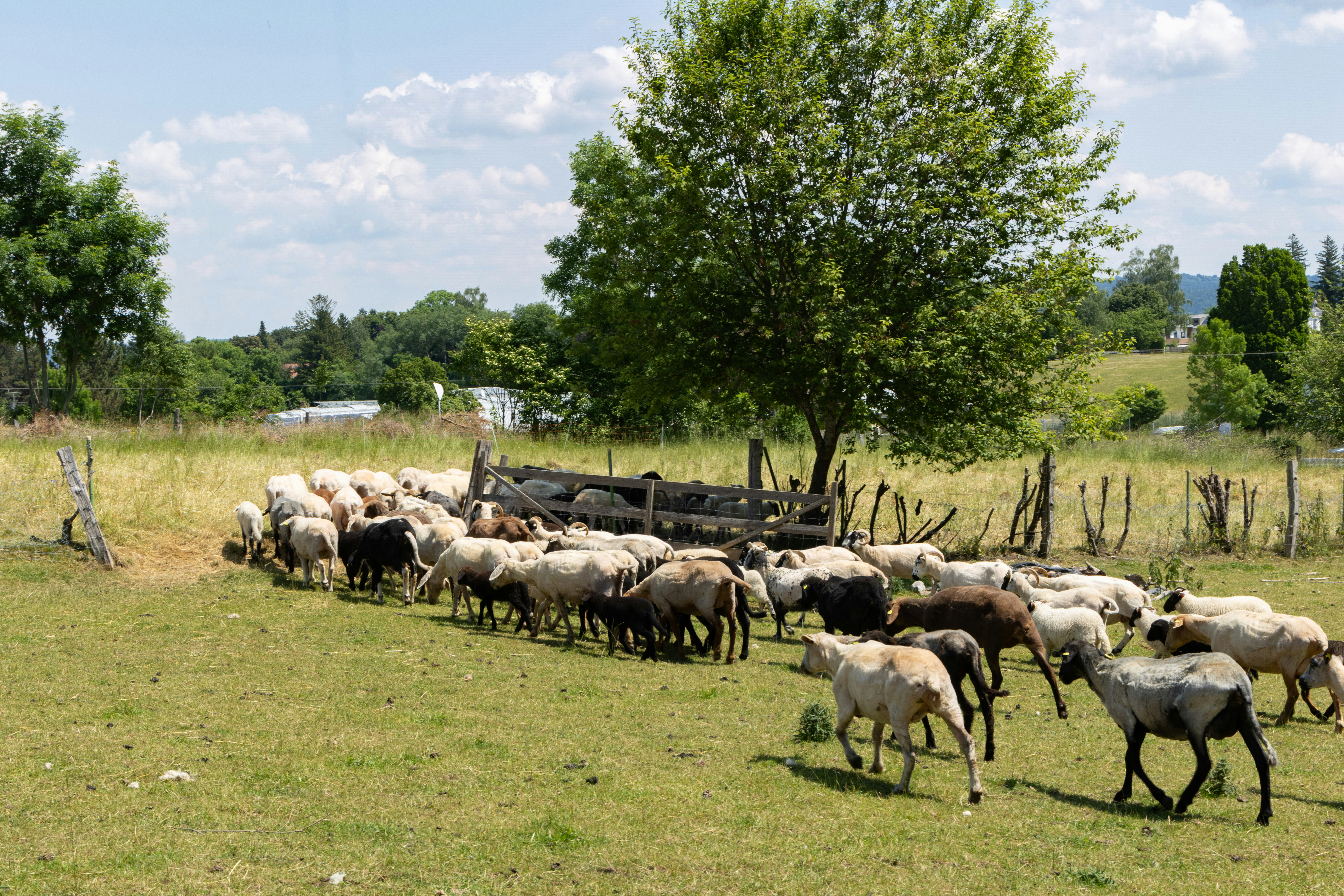 Photo by beingorganicineu