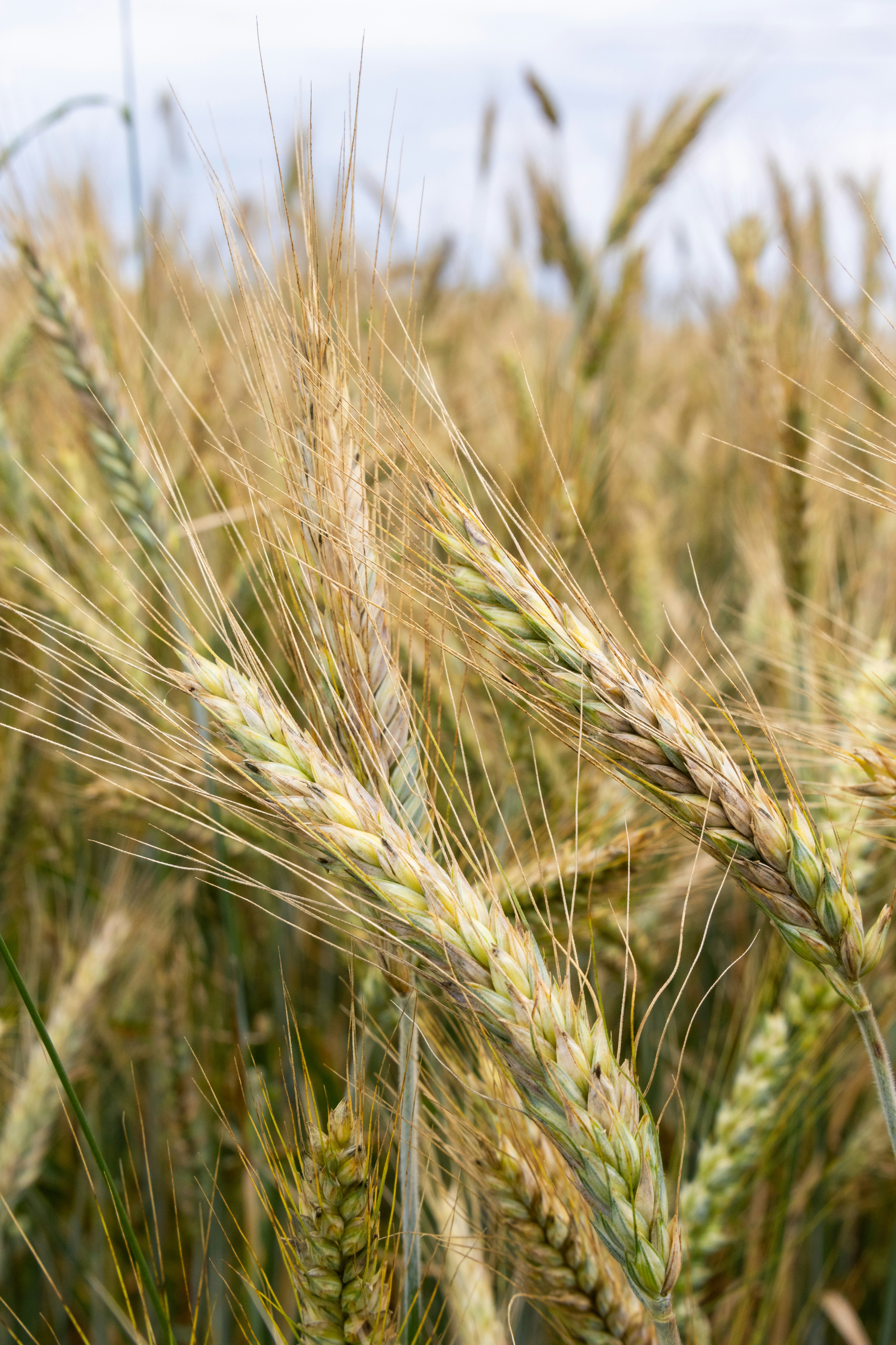 Photo by beingorganicineu