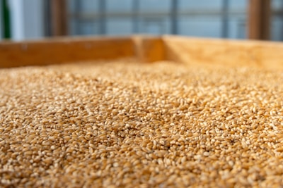 A pile of grain is shown in a factory