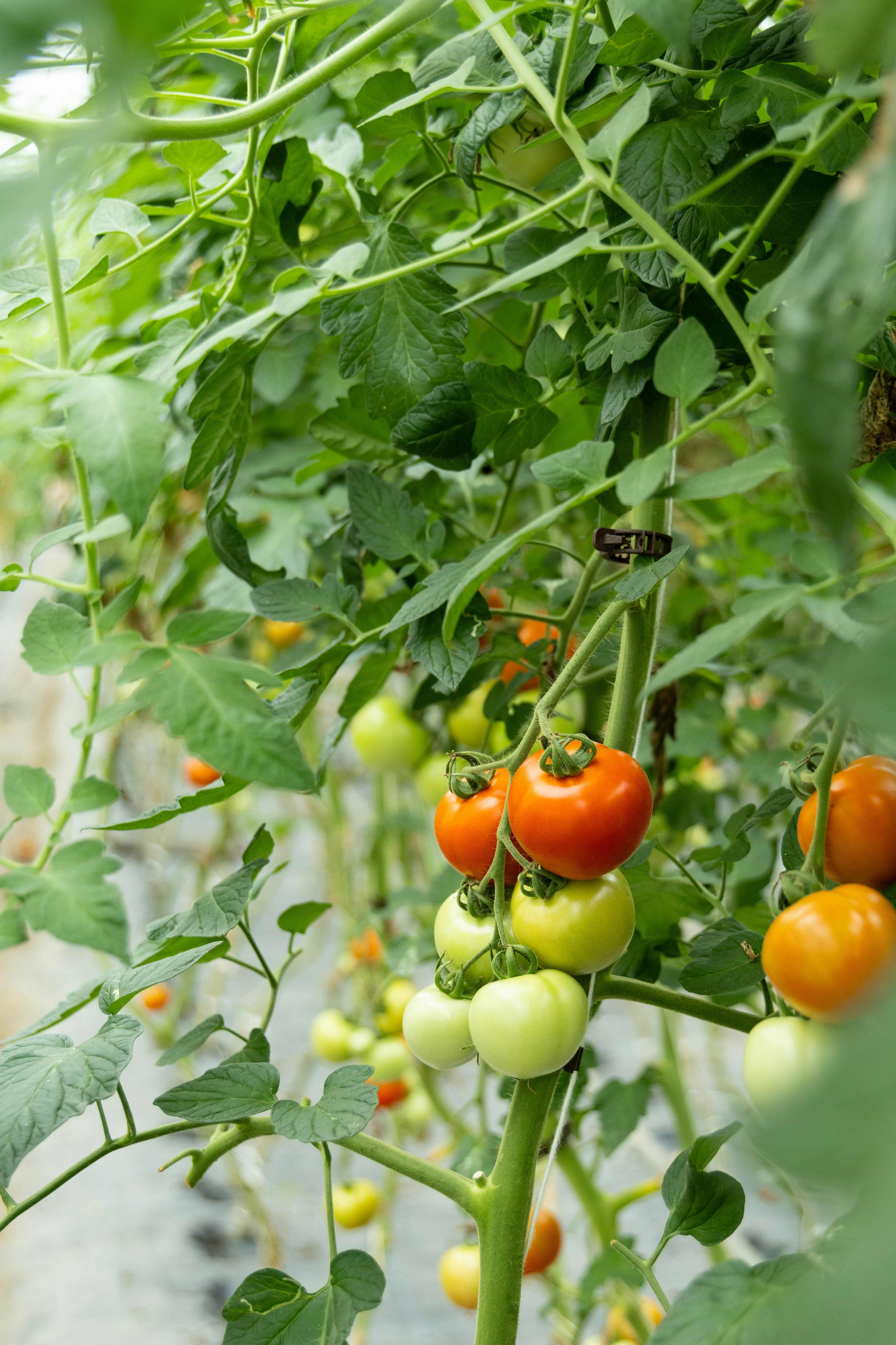 Photo by beingorganicineu