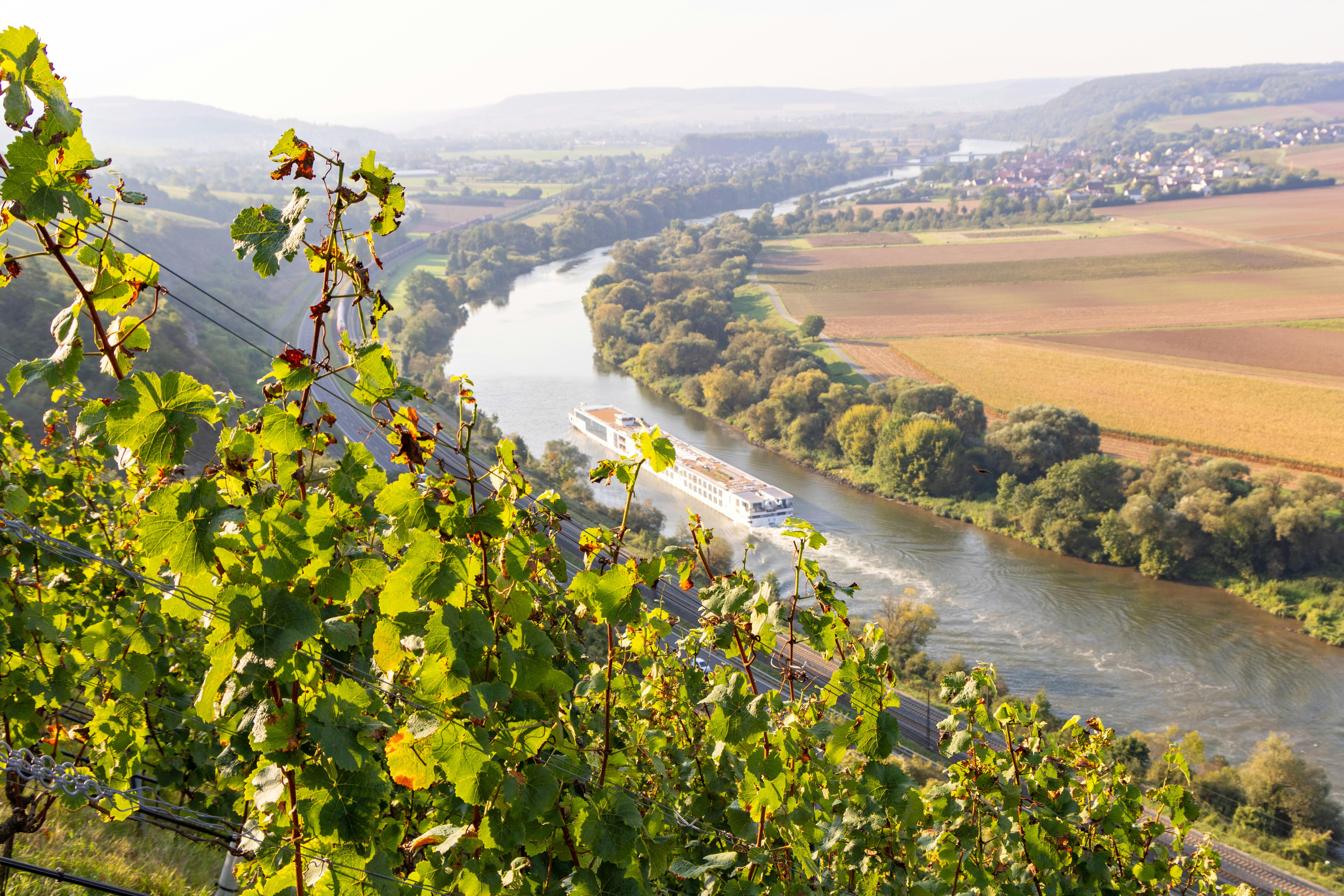 Photo by beingorganicineu