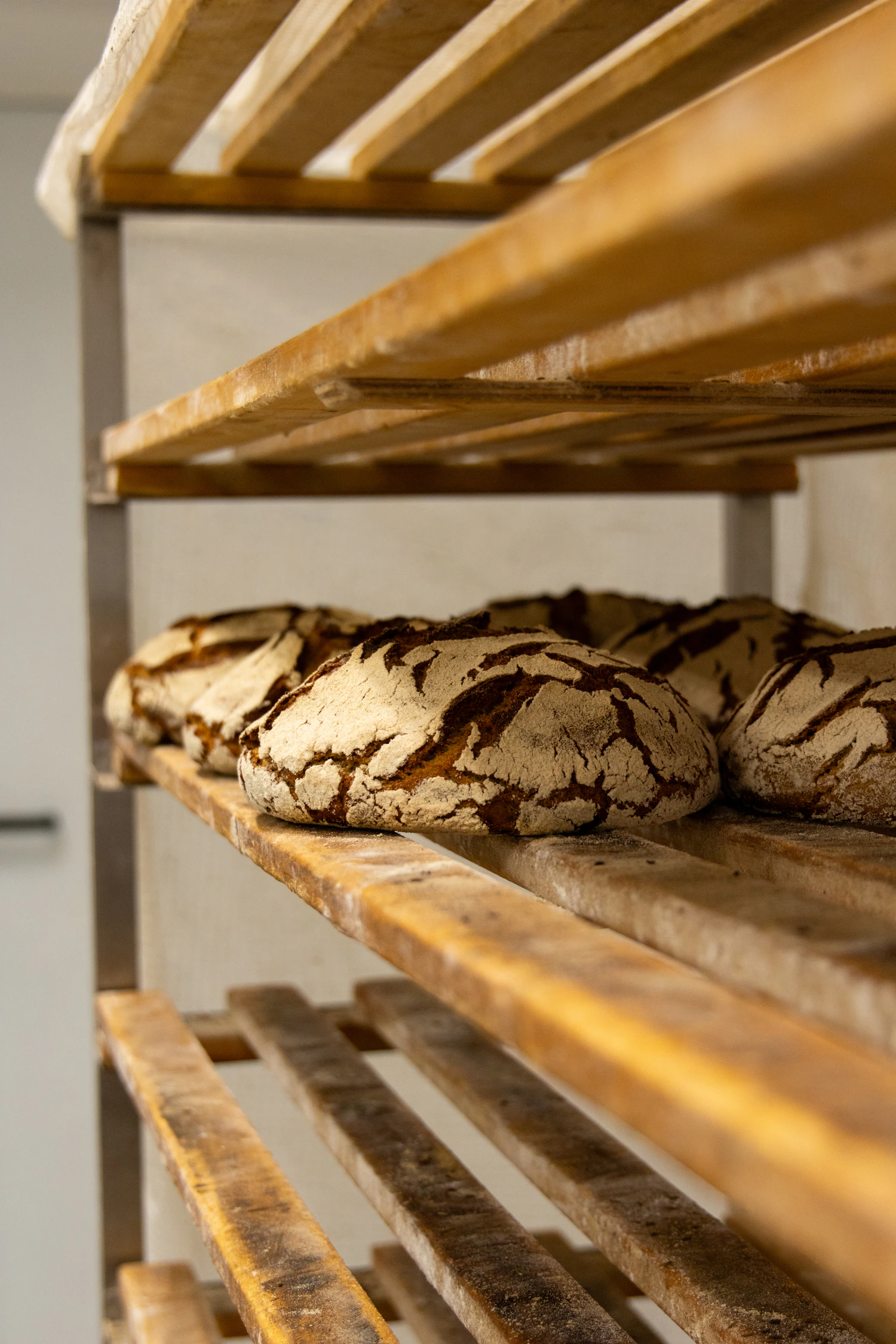 Proving loaves lined up along the slats of a wooden rack
