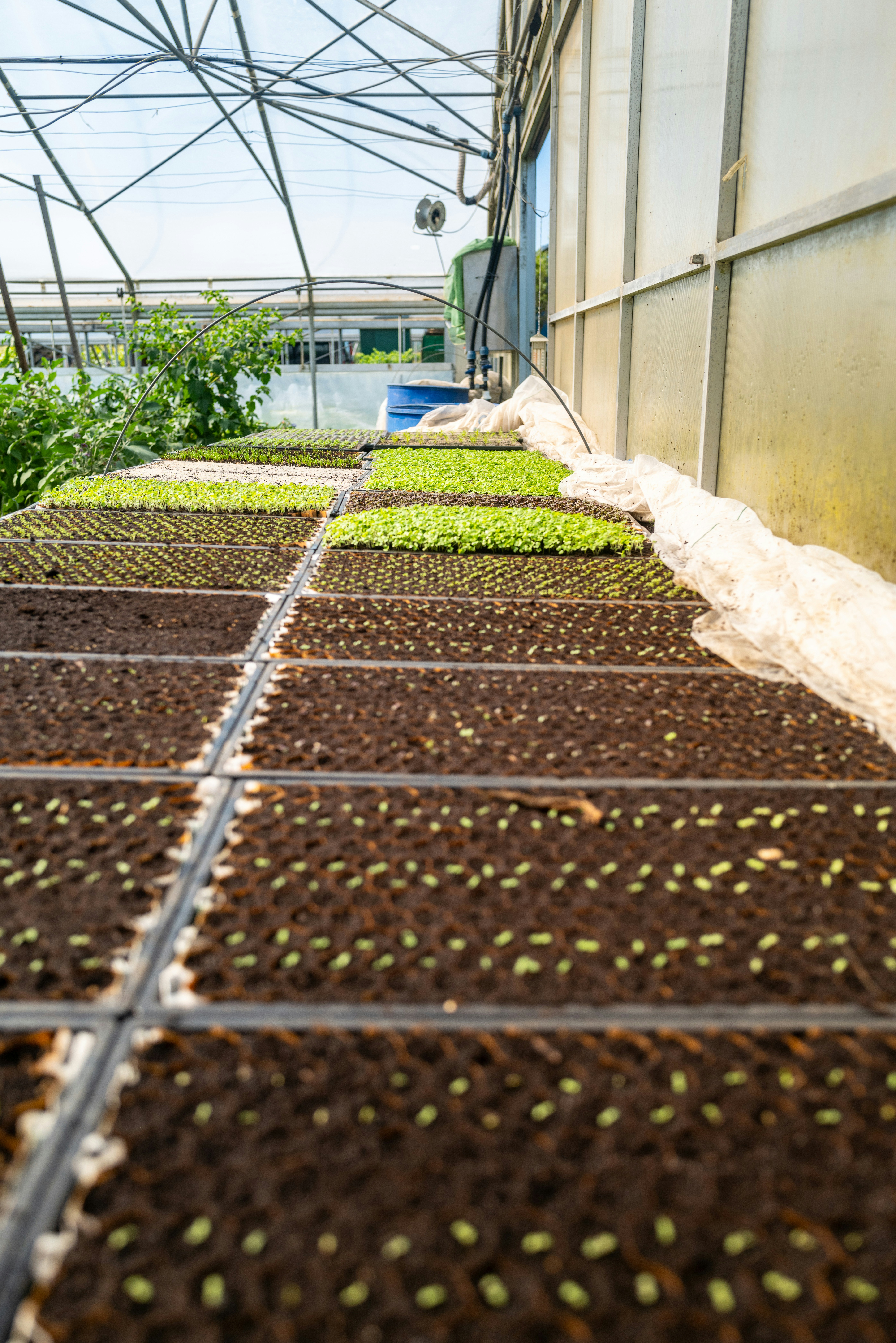 Photo by beingorganicineu