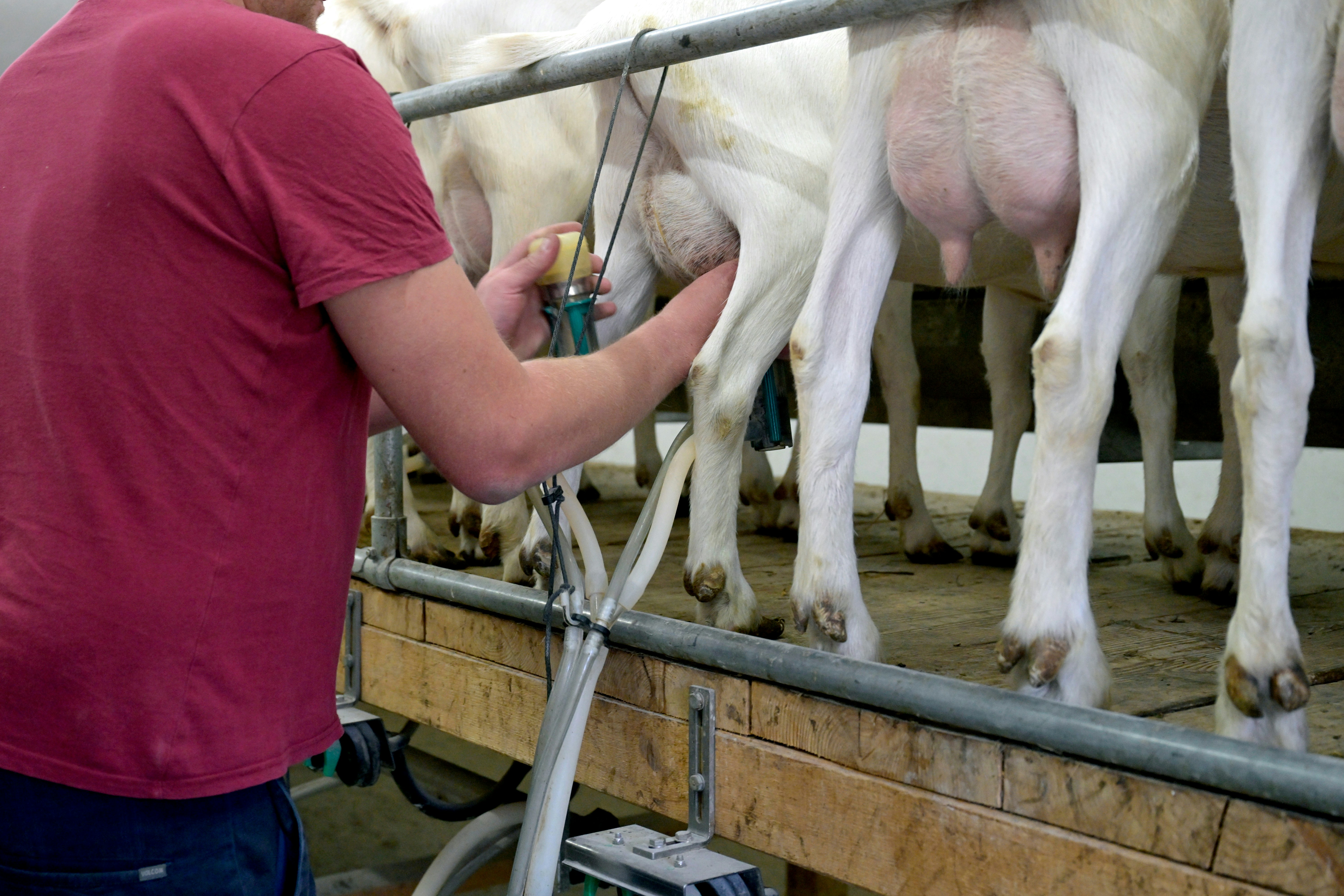 Report identifies barriers to donor human milk for very low birthweight infants in NICUs