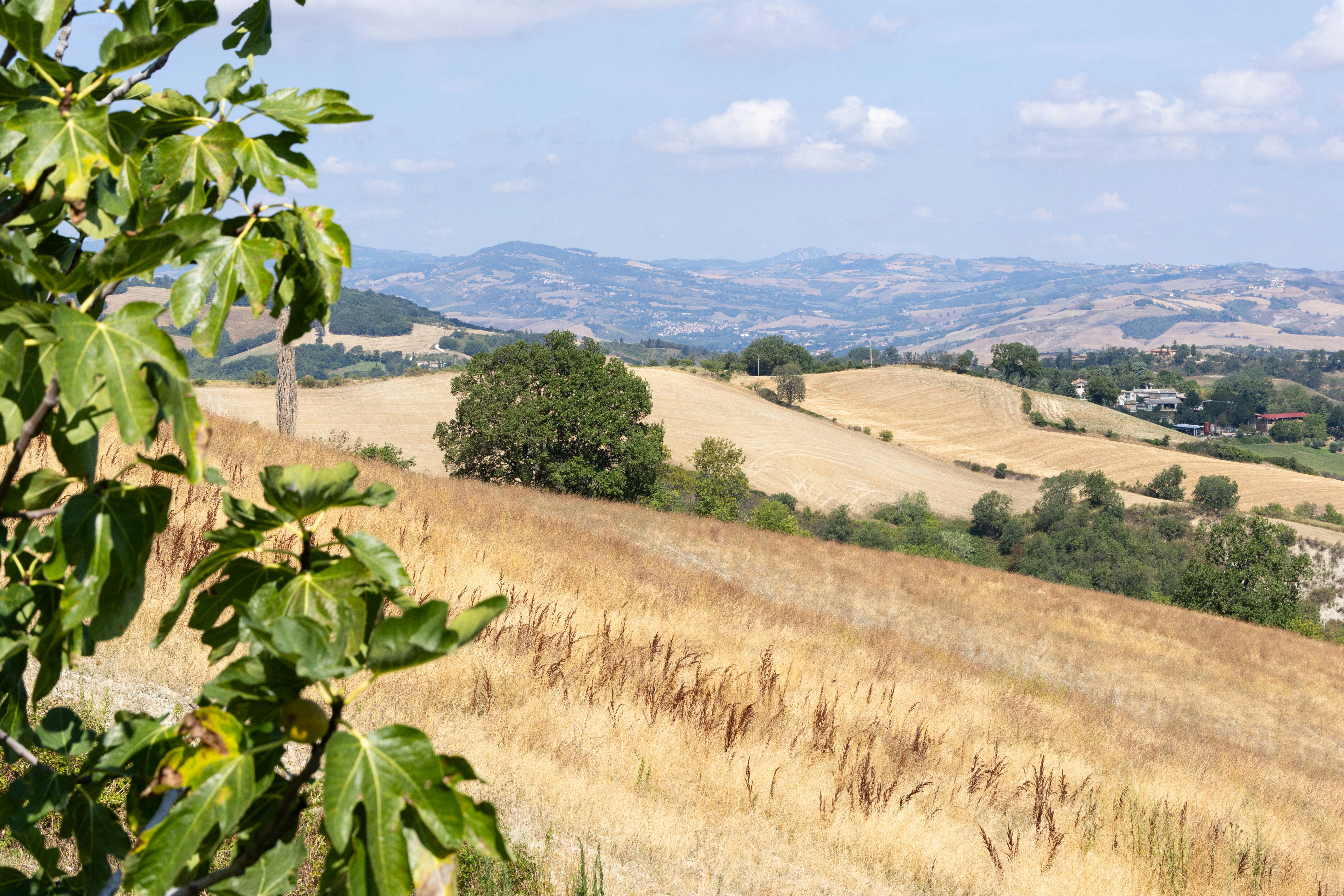 Photo by beingorganicineu