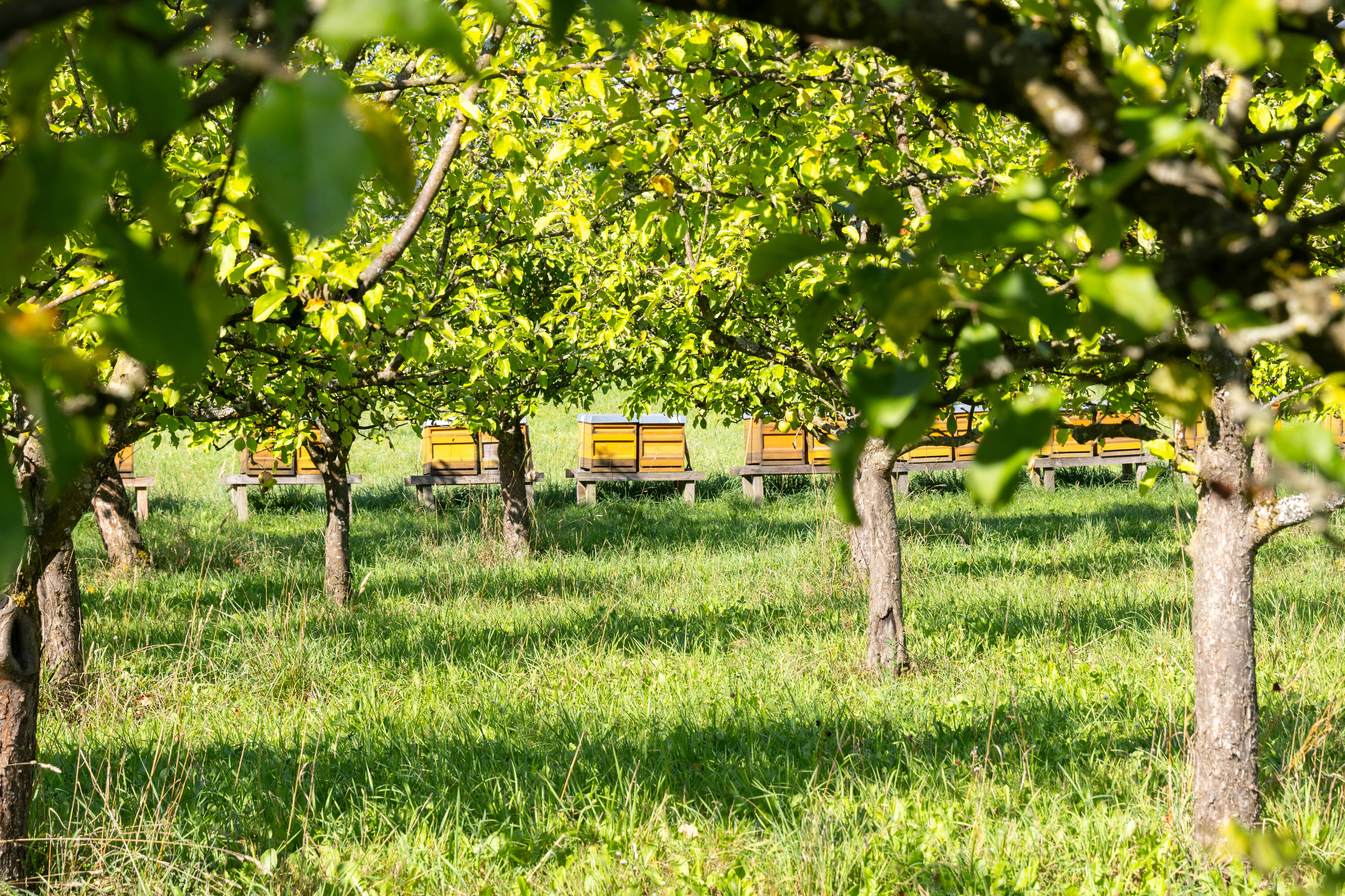 Photo by beingorganicineu