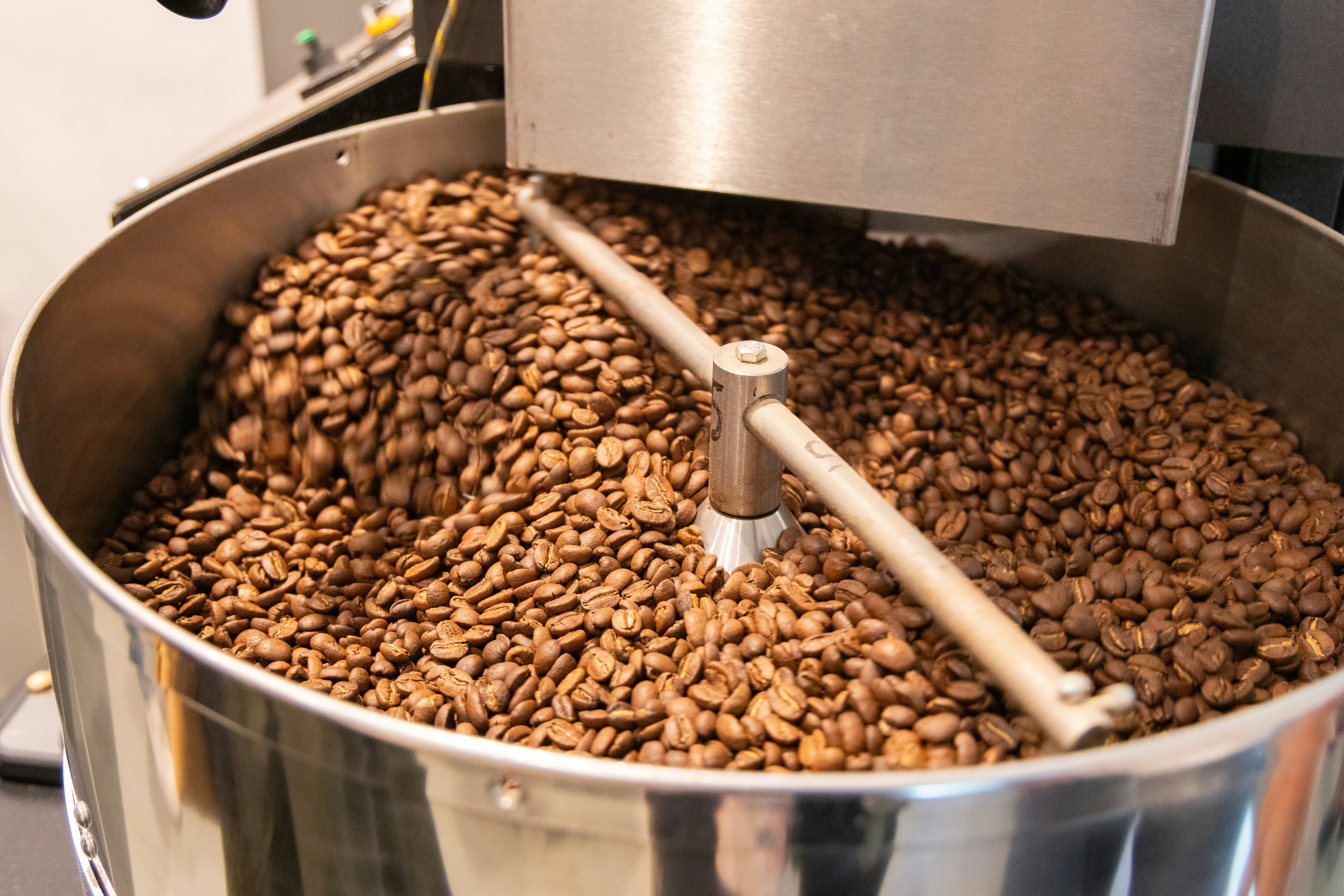 Photo by beingorganicineu