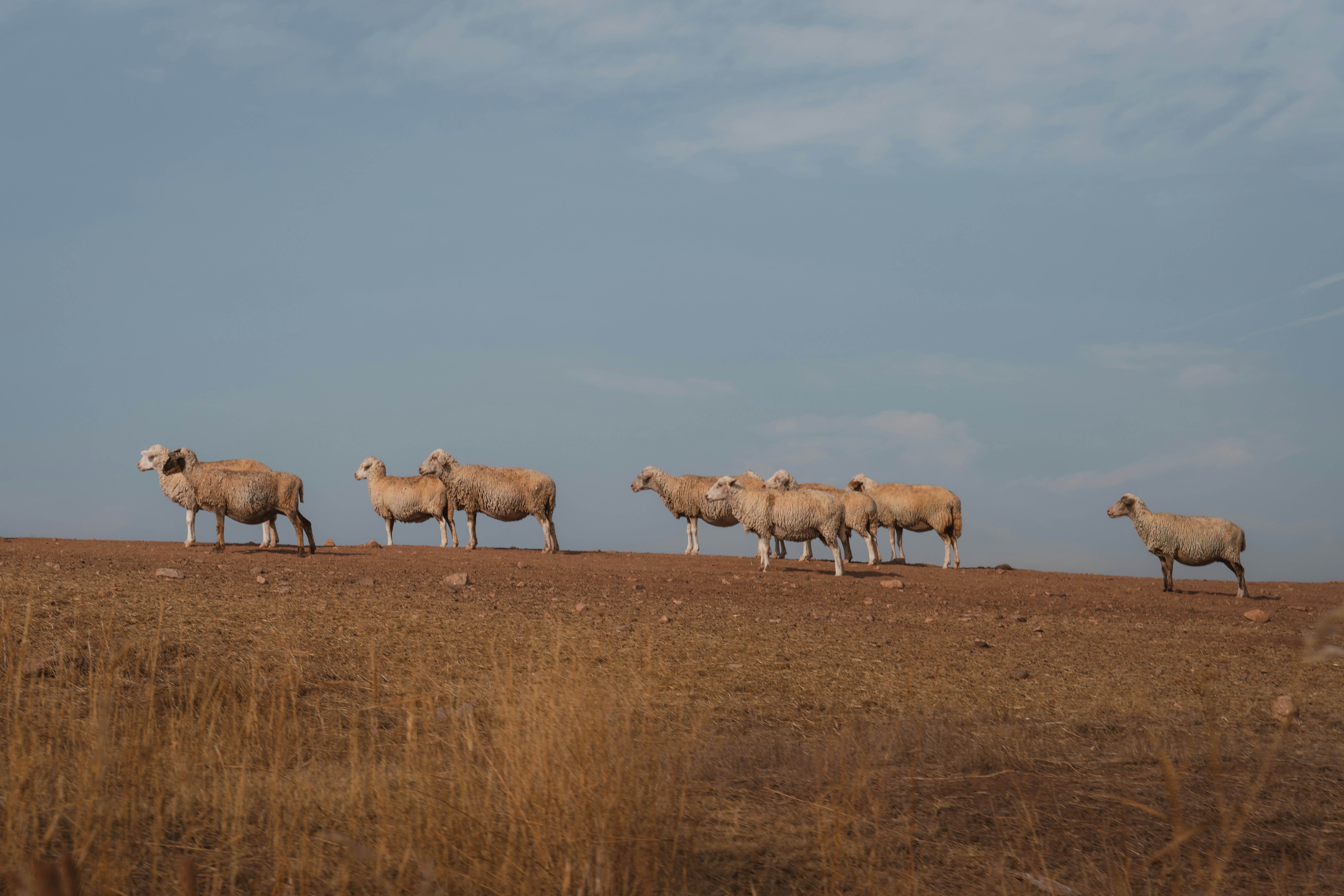 Photo by ahmetyuksek
