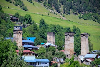 A view of a village with a mountain in the background