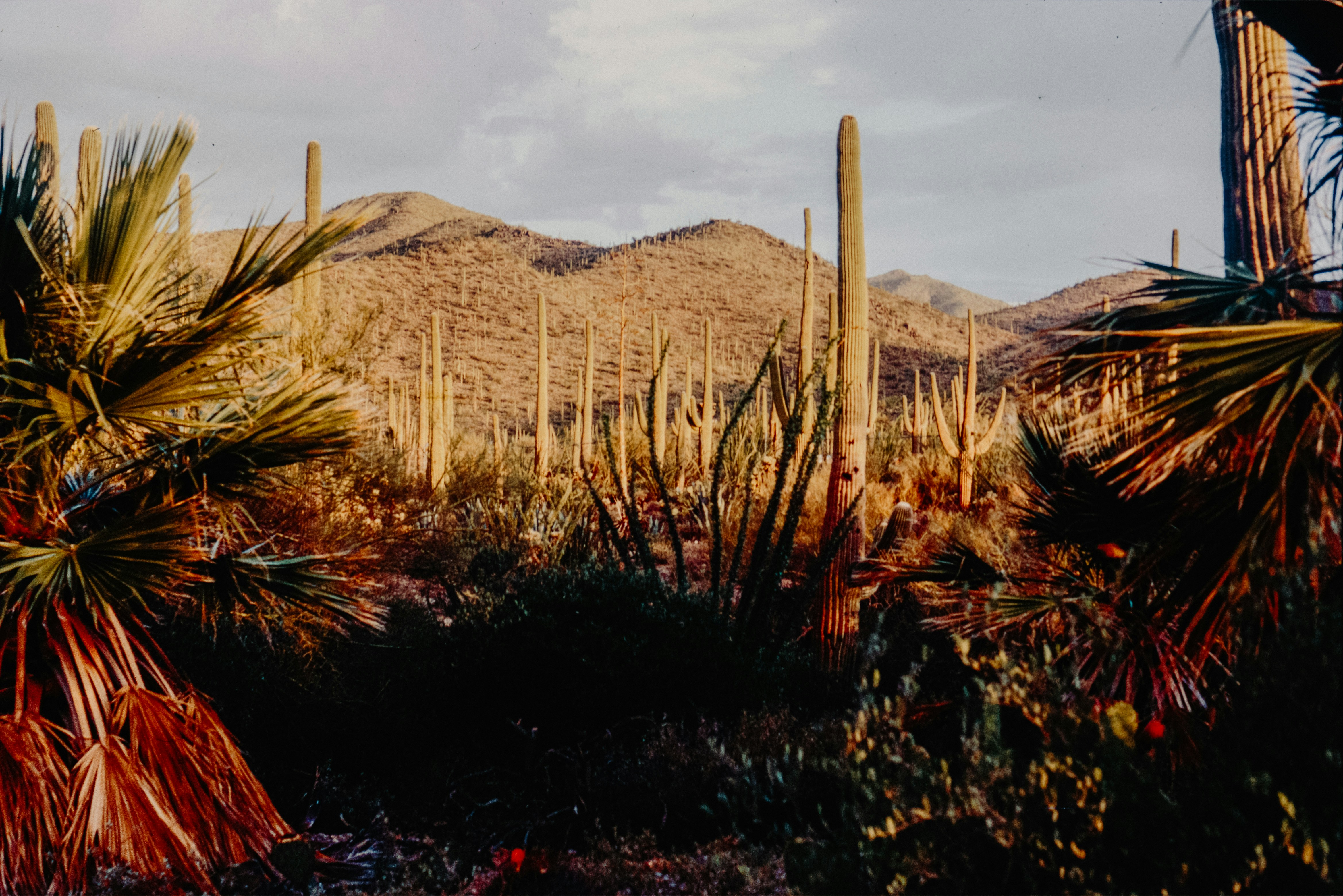 Photo by anniespratt