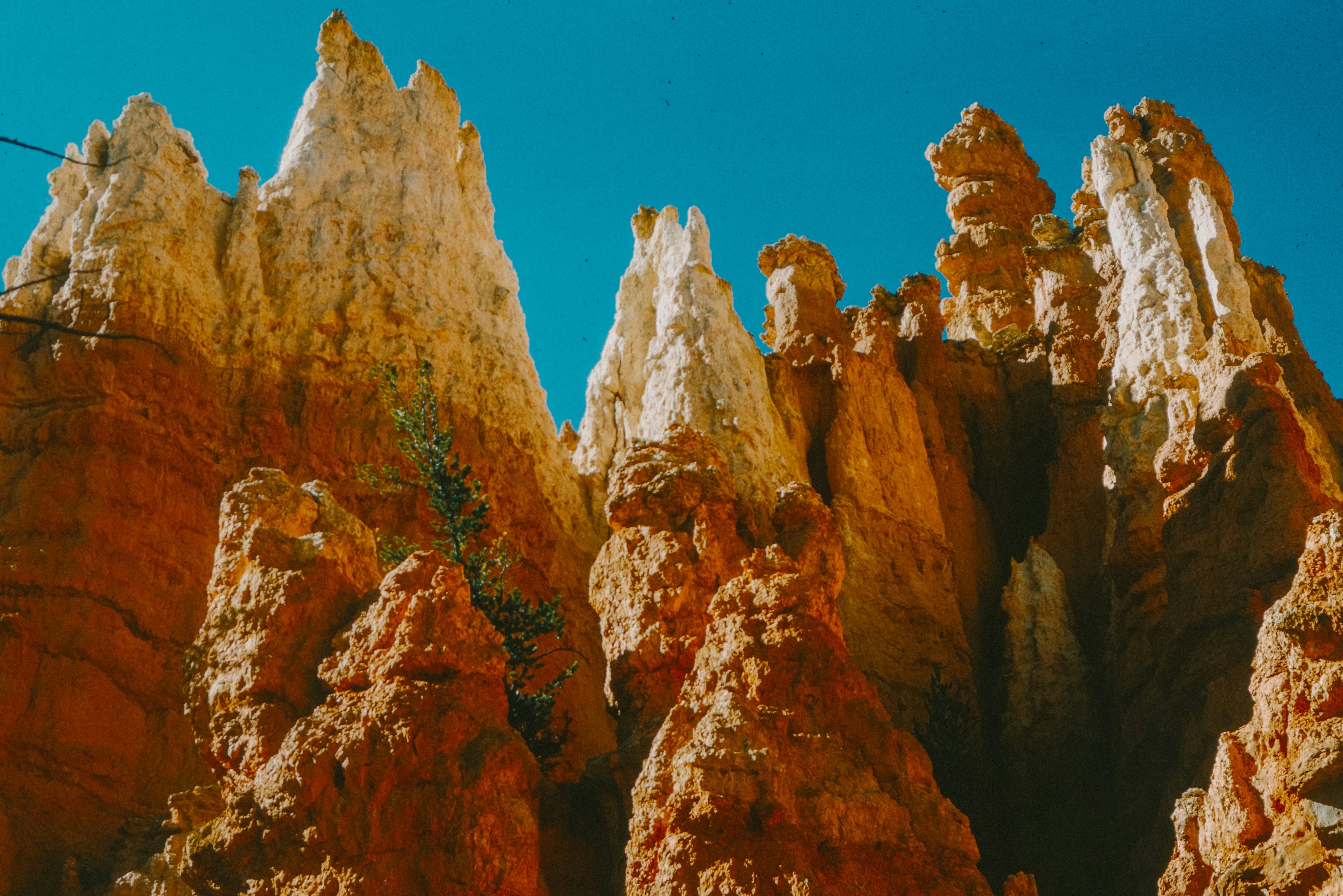 Photo by anniespratt