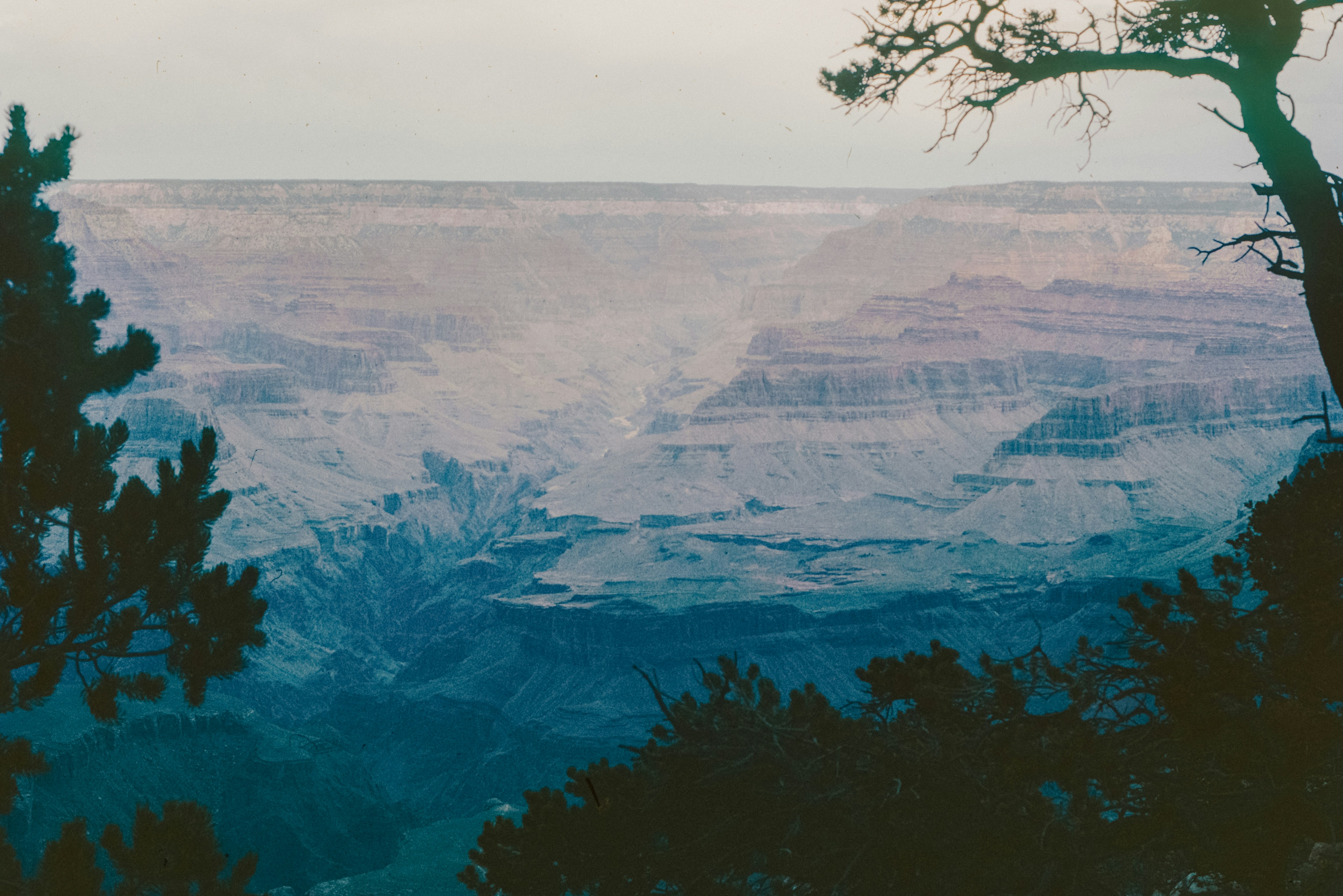 Photo by anniespratt