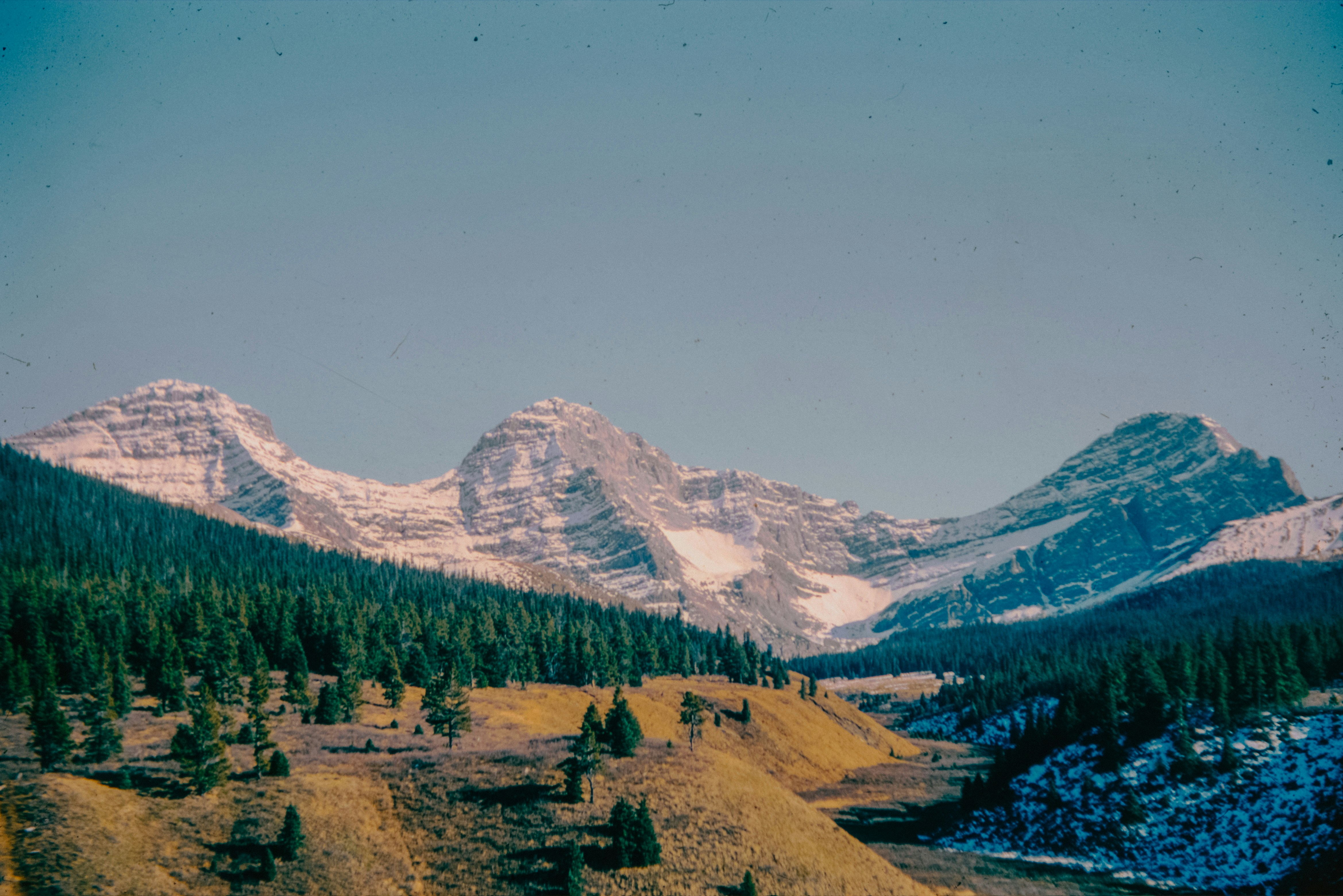 Photo by anniespratt