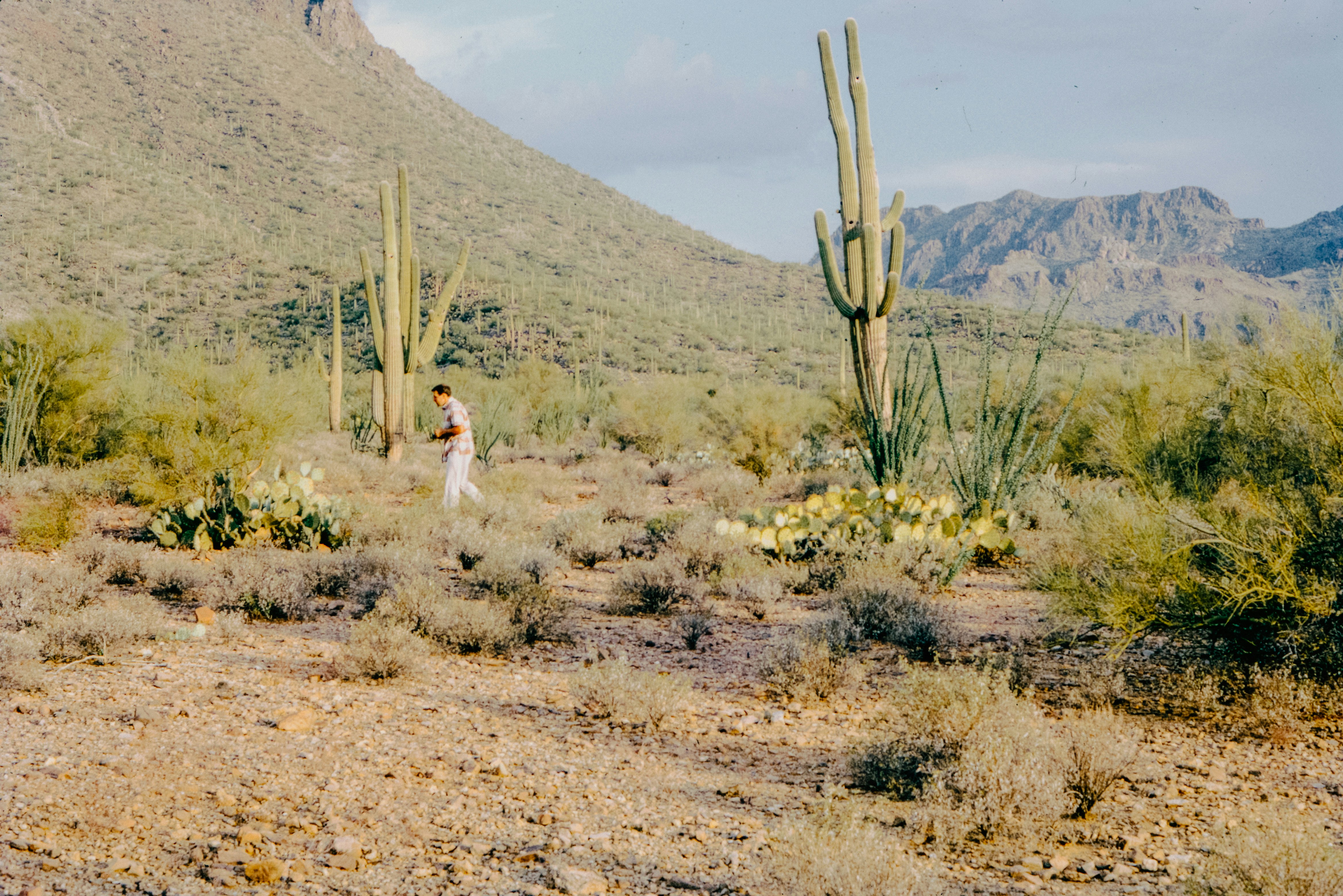 Photo by anniespratt