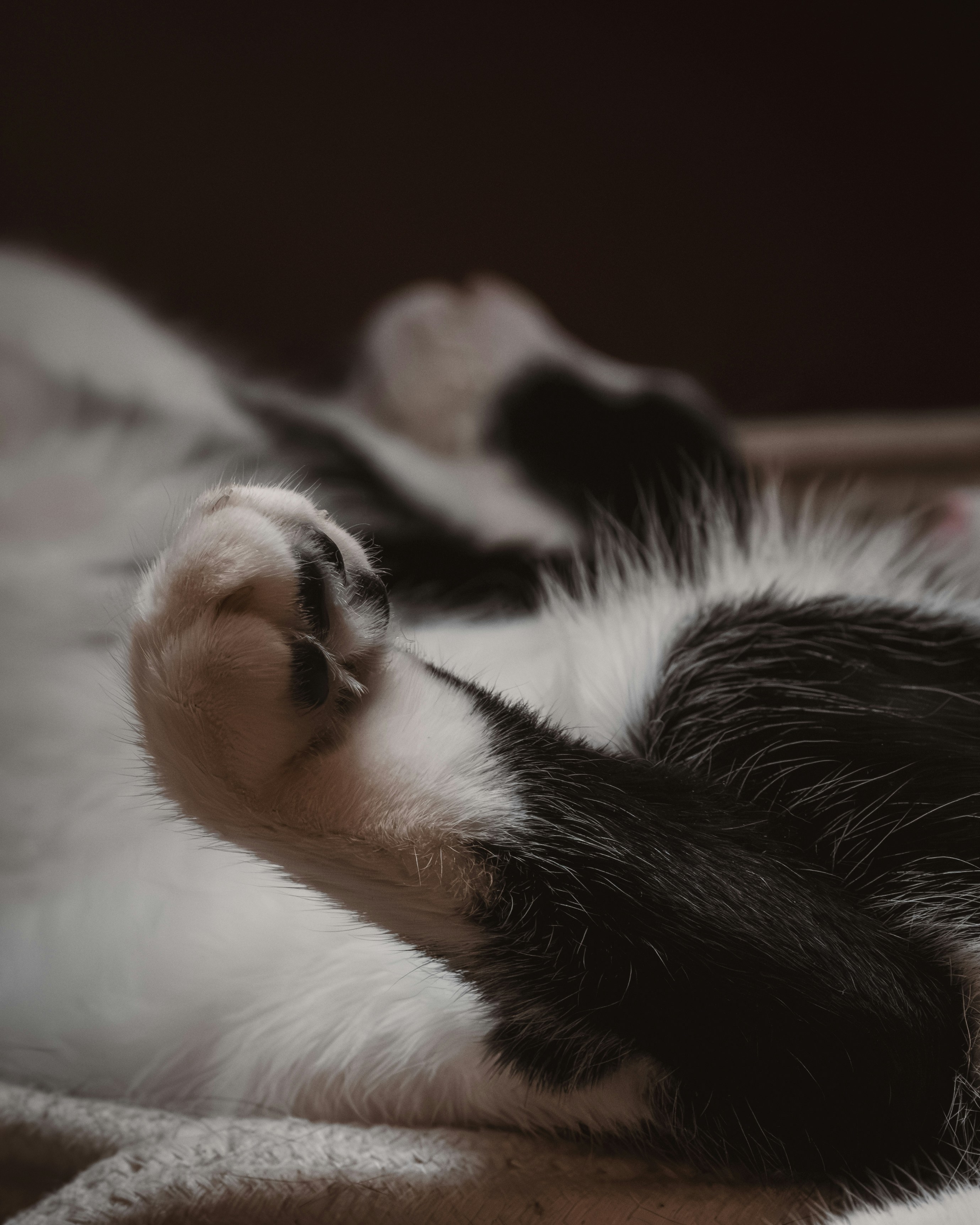 The Role of Texture and Familiarity (image credits: unsplash)