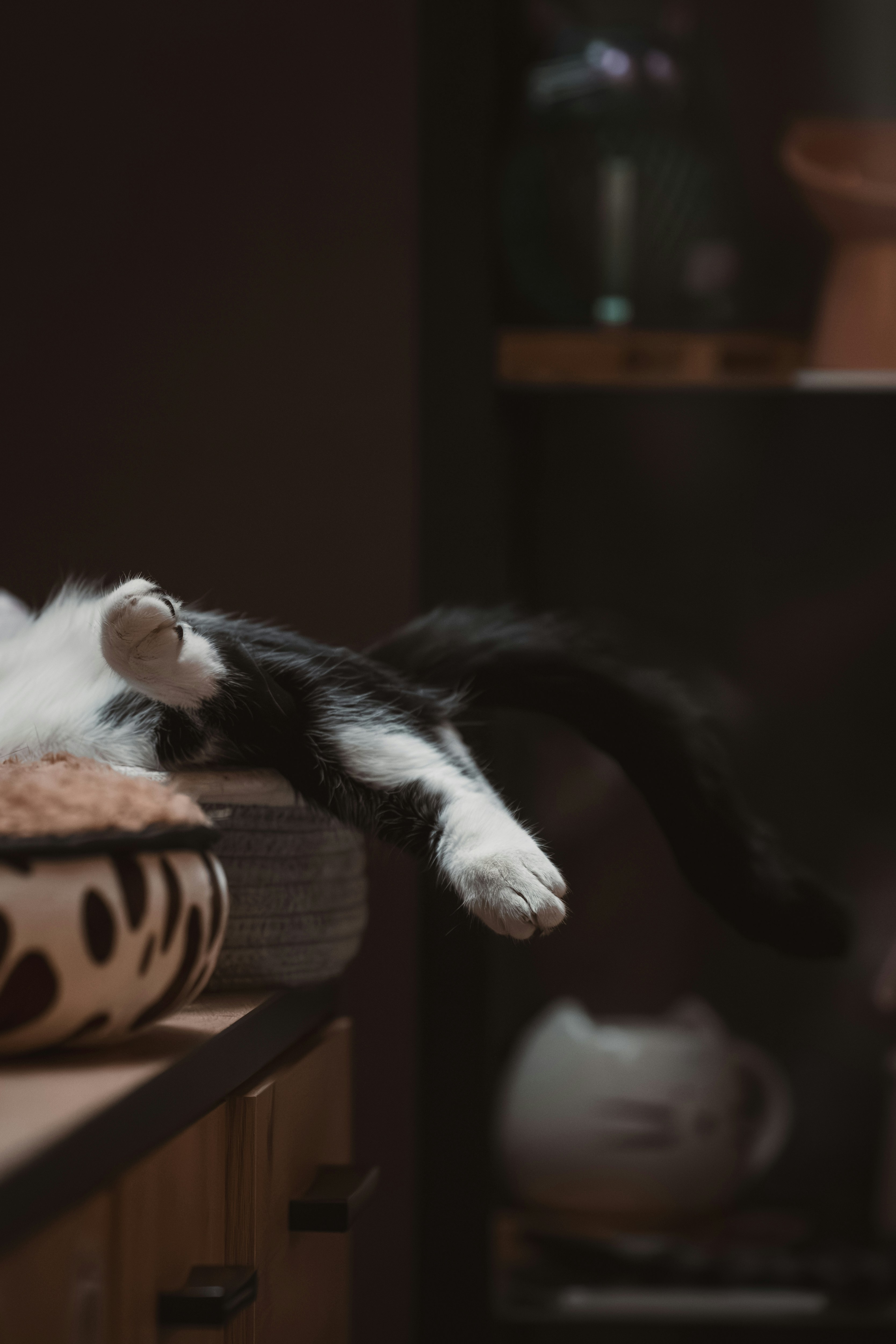 Photo by ahmetyuksek