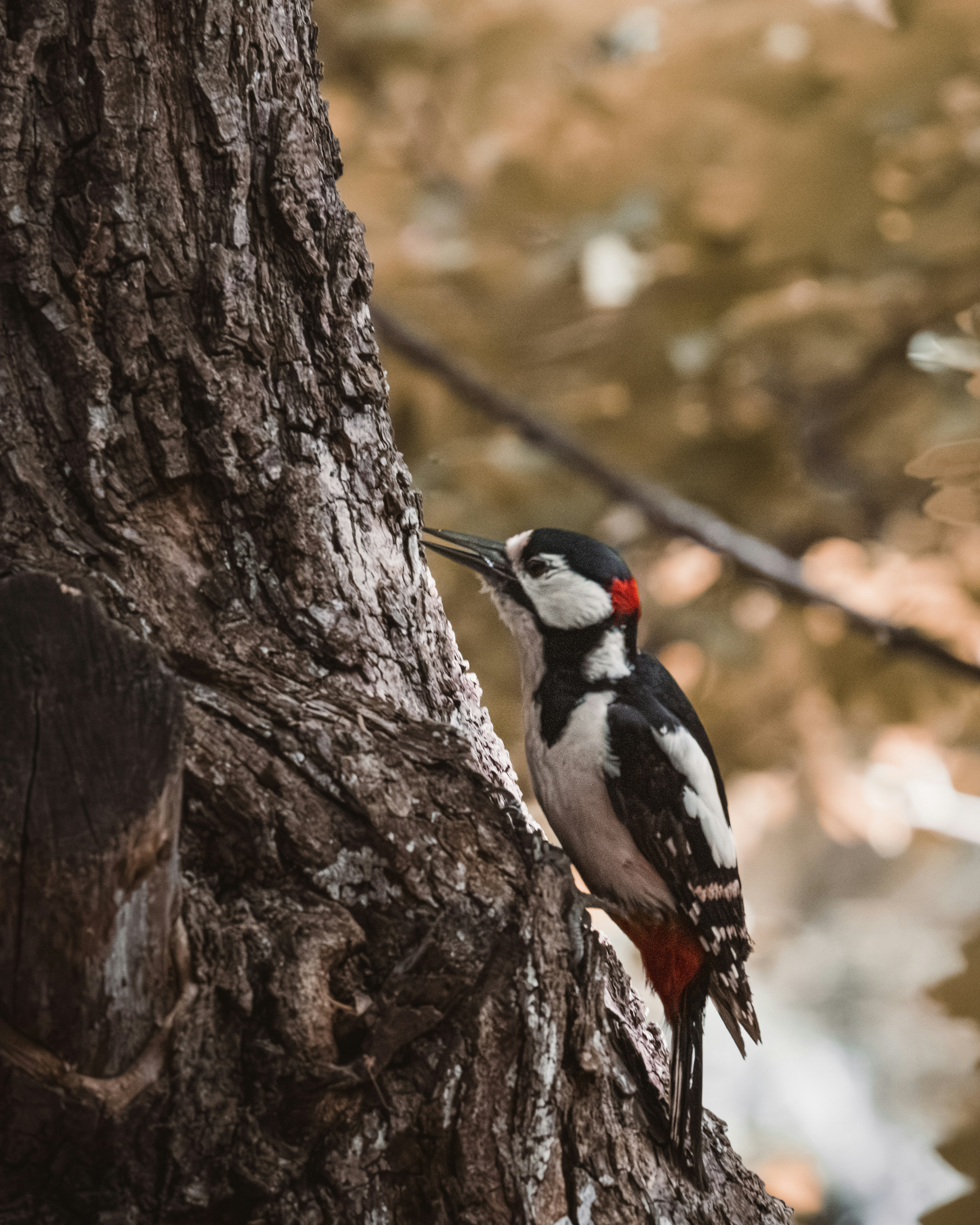 Photo by ahmetyuksek