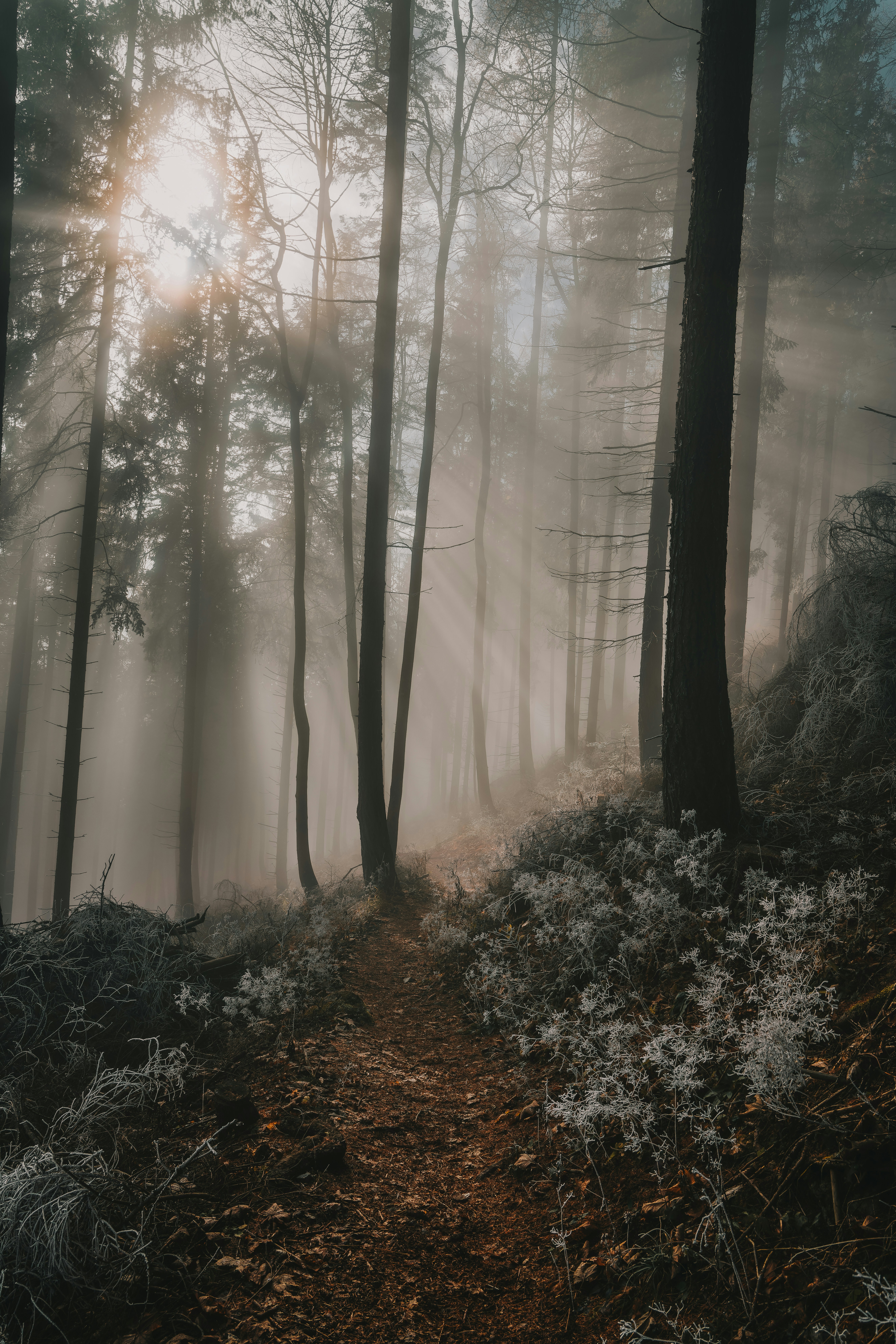 Photo by ahmetyuksek