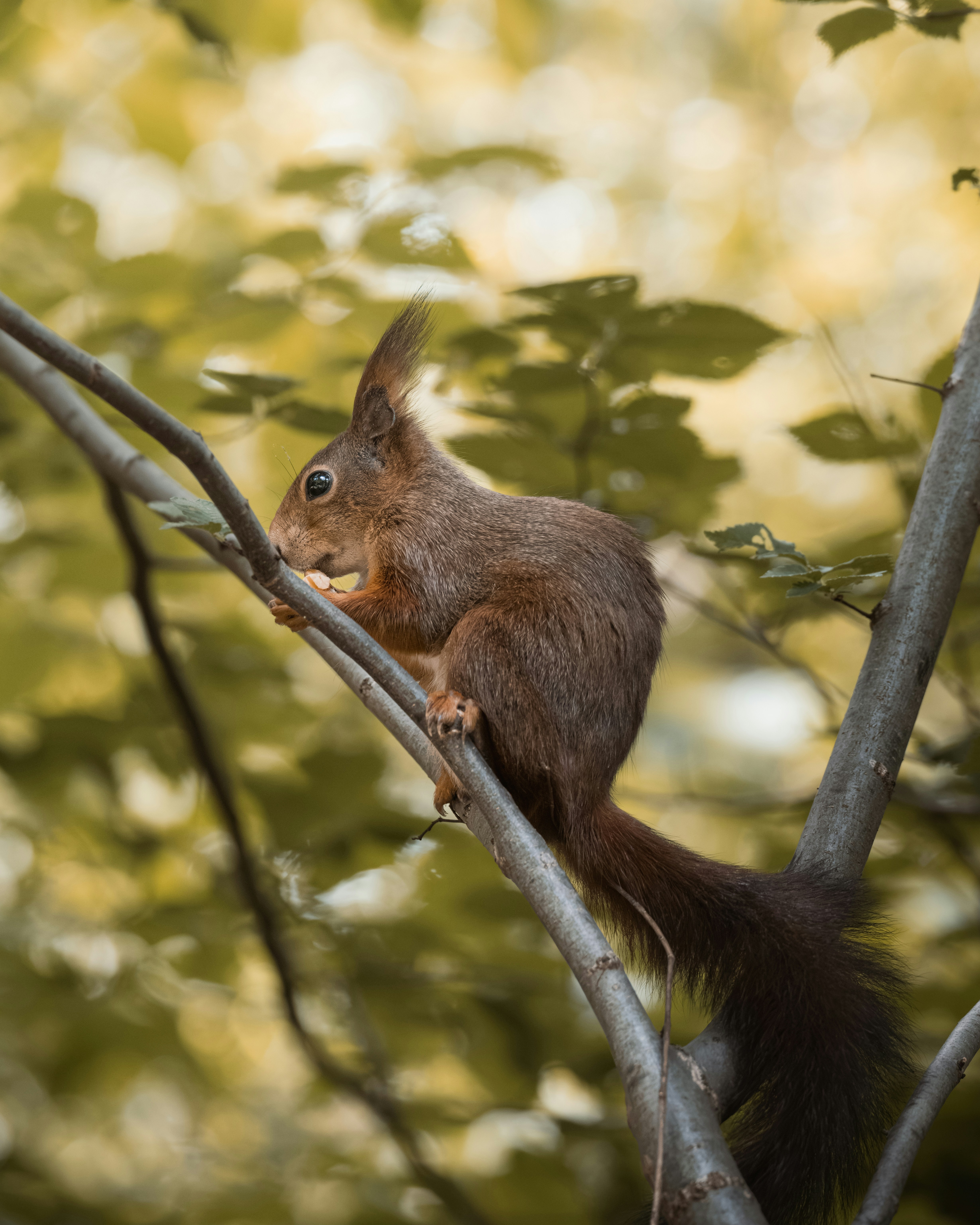 Photo by ahmetyuksek
