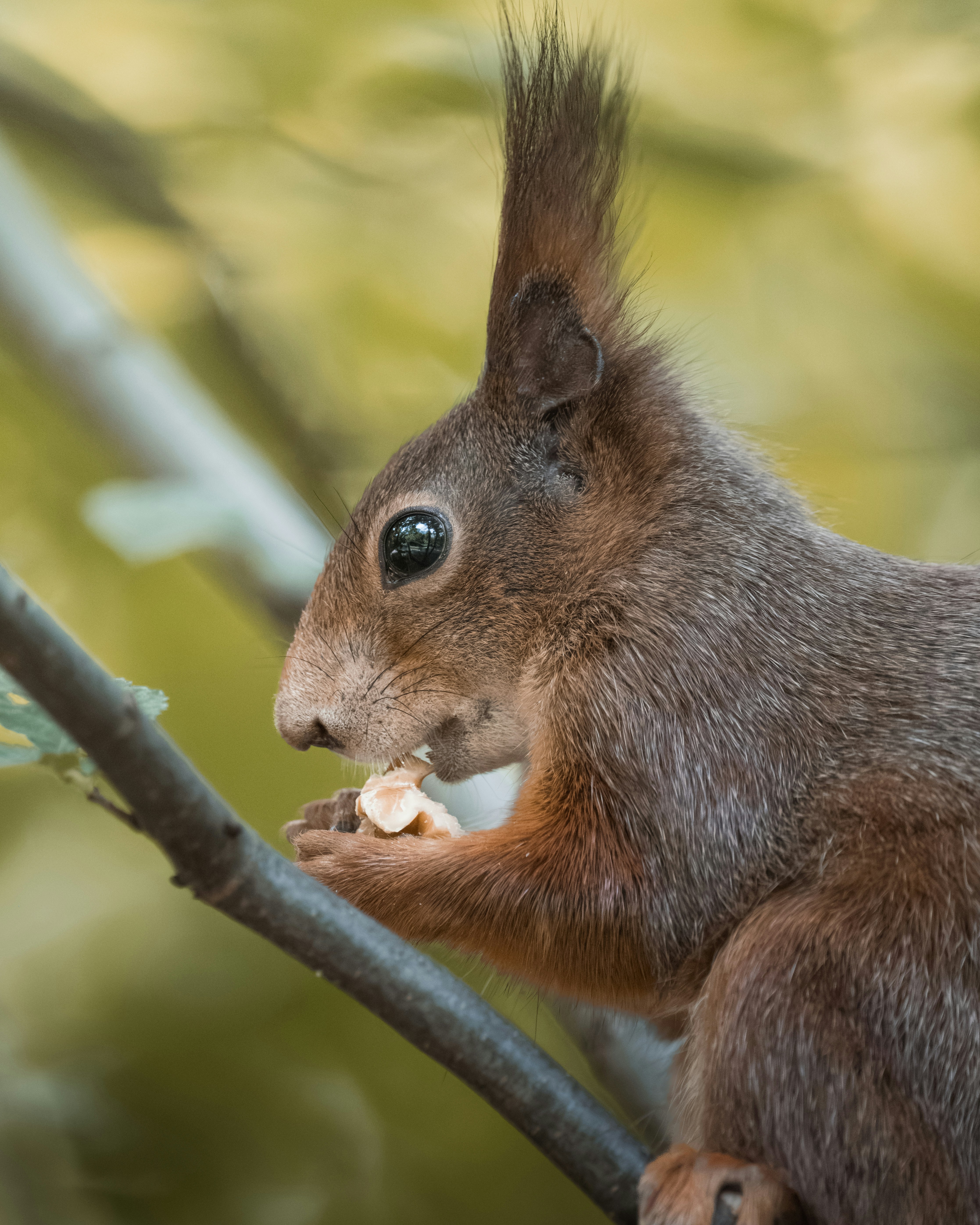 Photo by ahmetyuksek