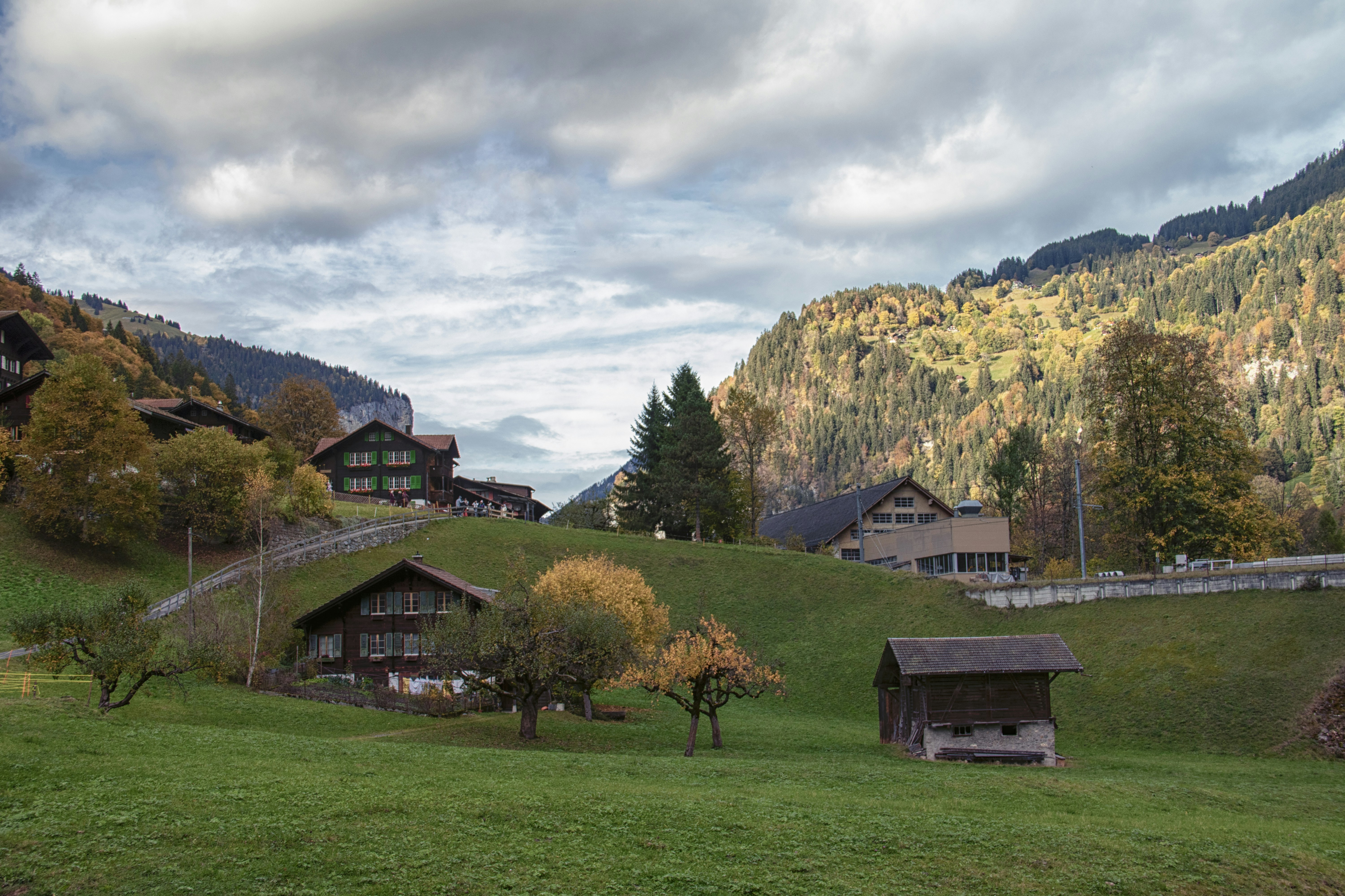 Photo by alexanderkez